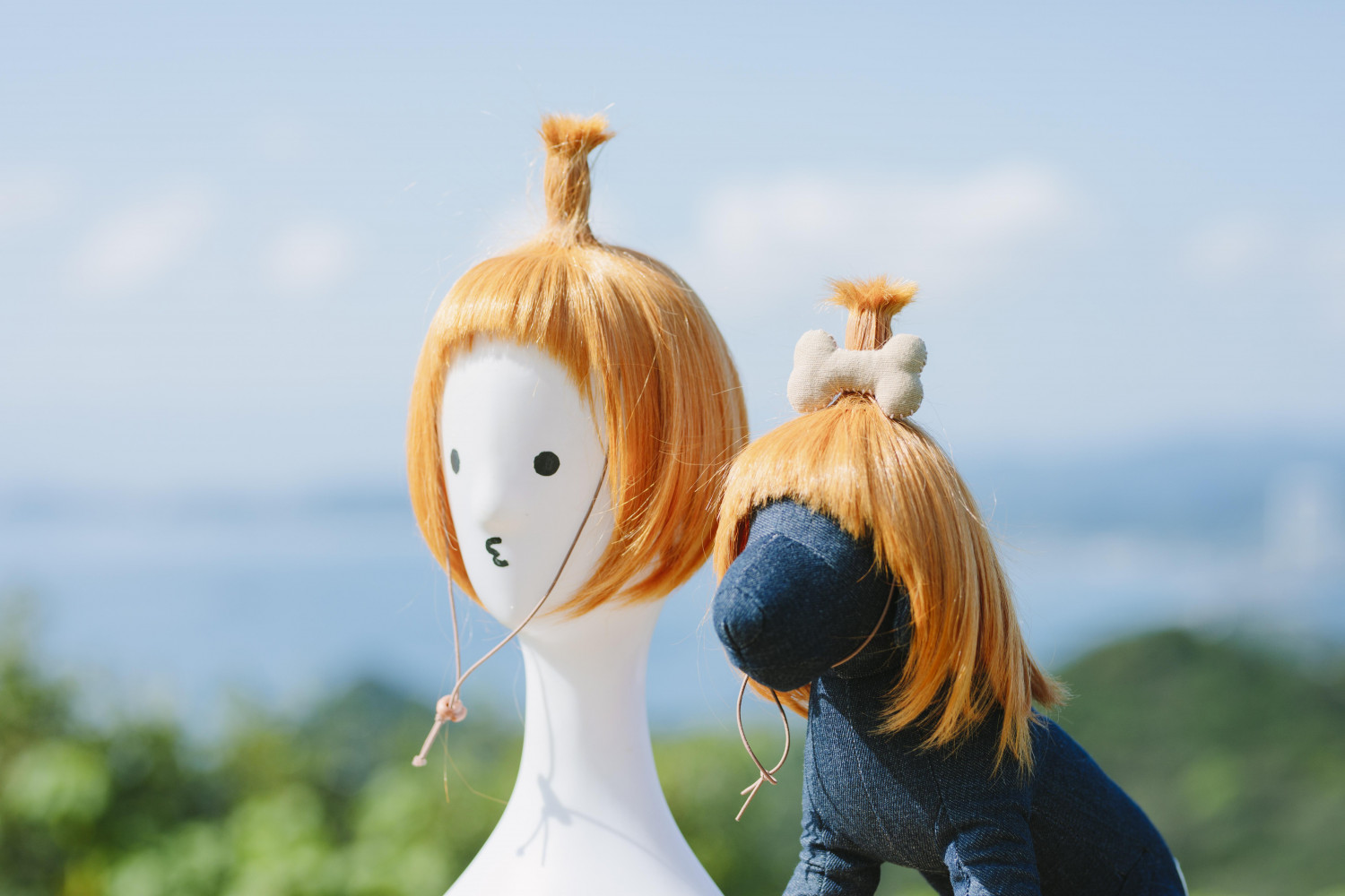 ダミーイメージ