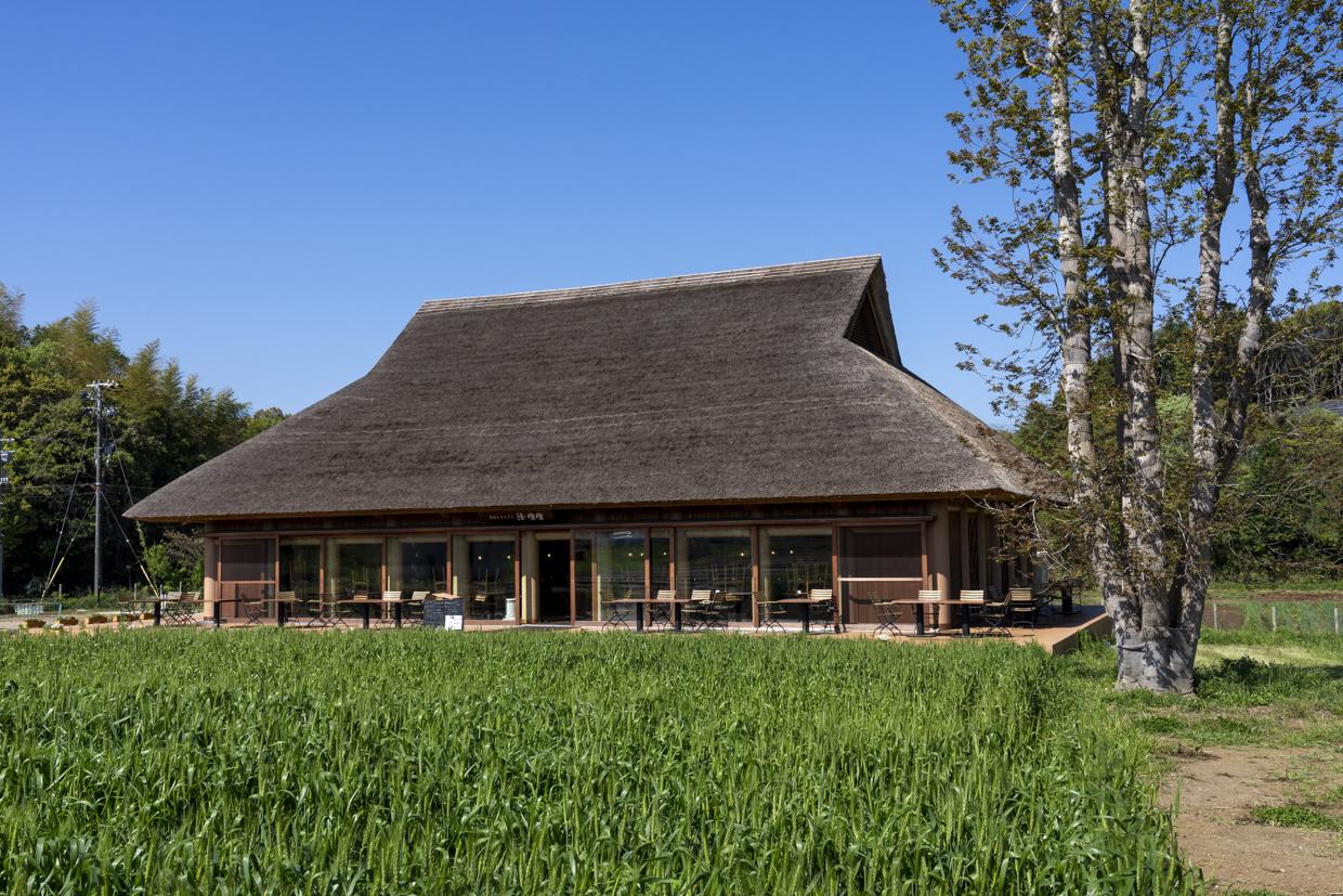 ダミーイメージ