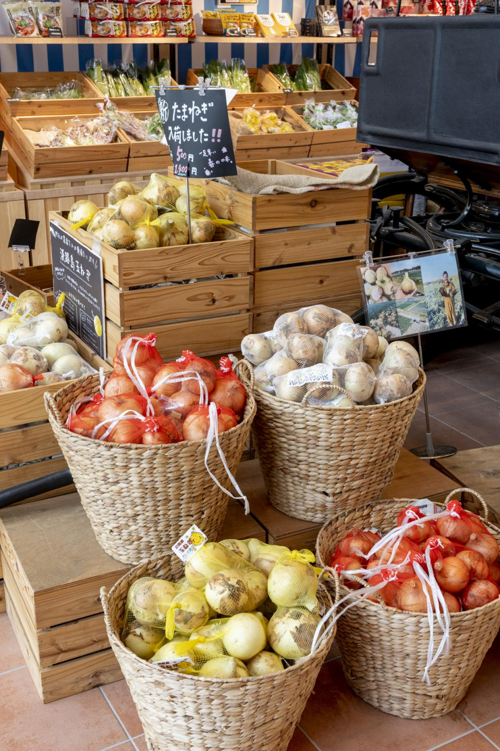 ダミーイメージ