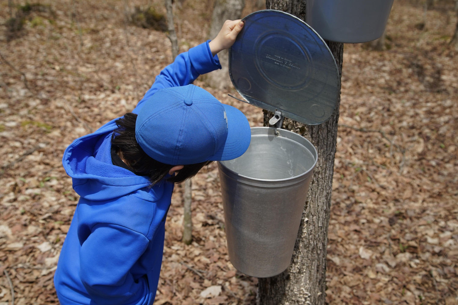 ダミーイメージ