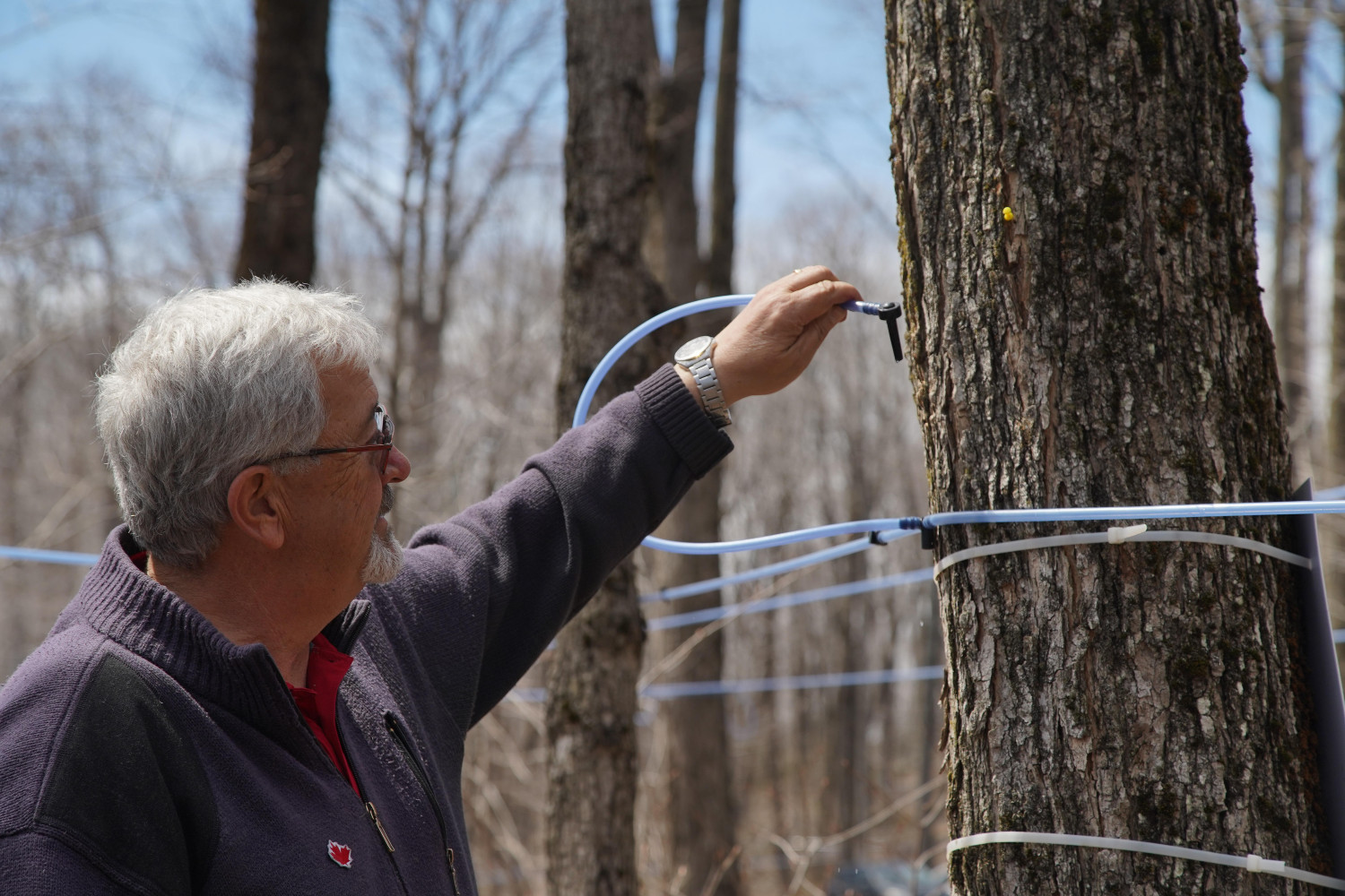 ダミーイメージ
