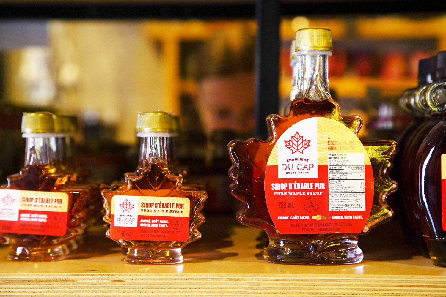 ダミーイメージ