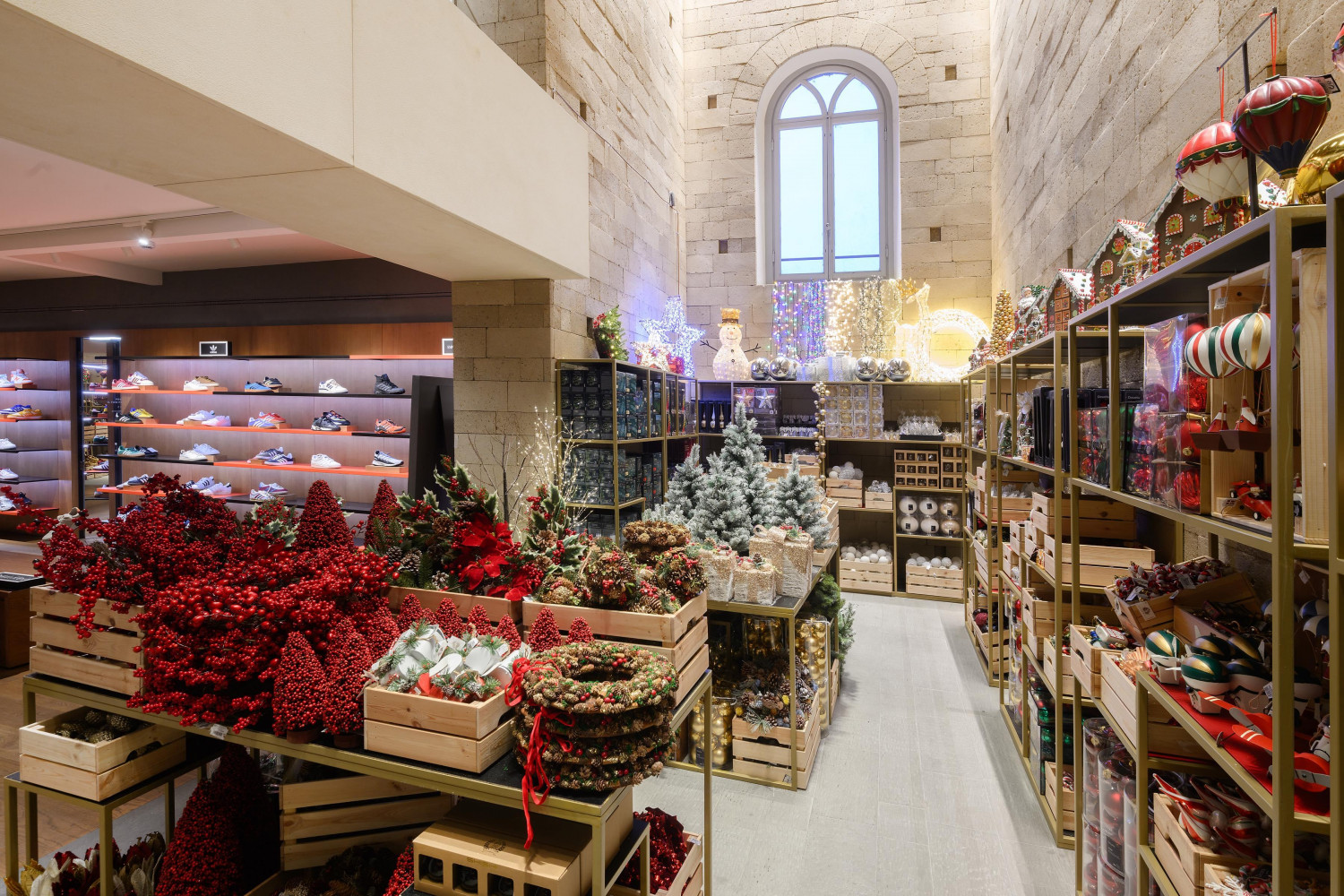 ダミーイメージ