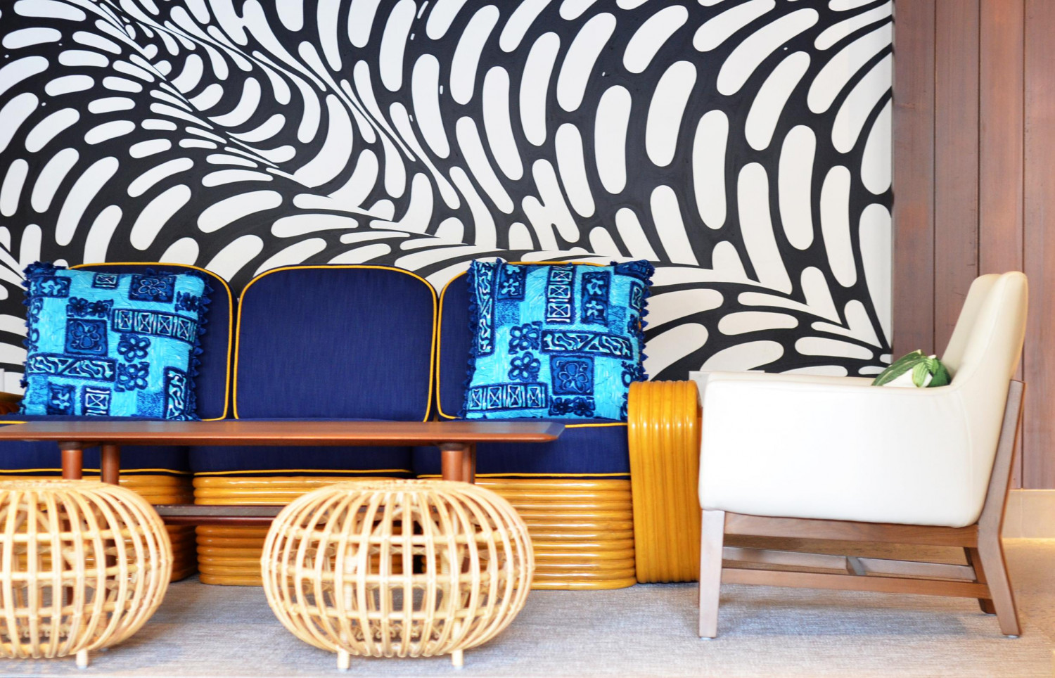 ダミーイメージ