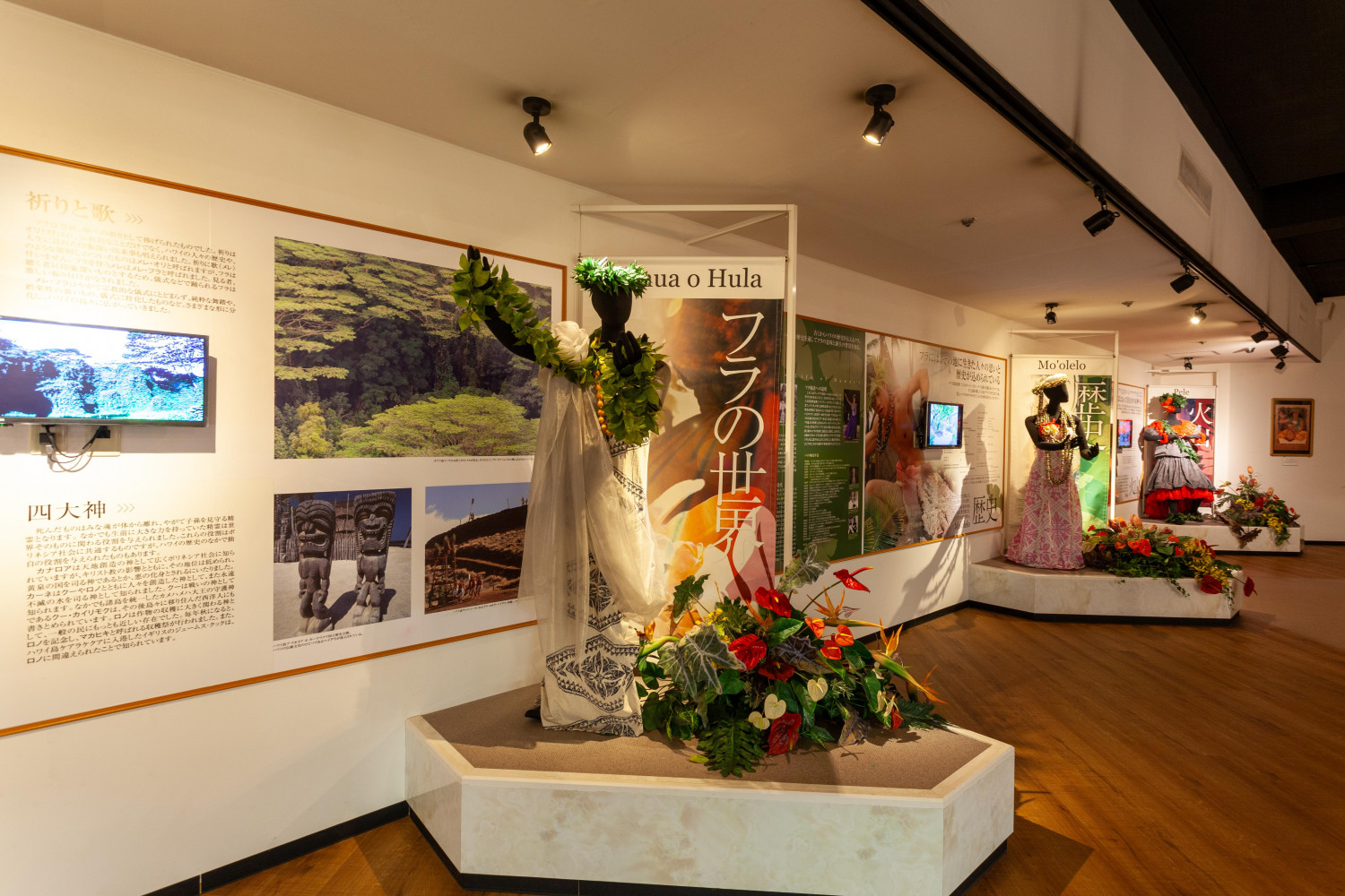 ダミーイメージ