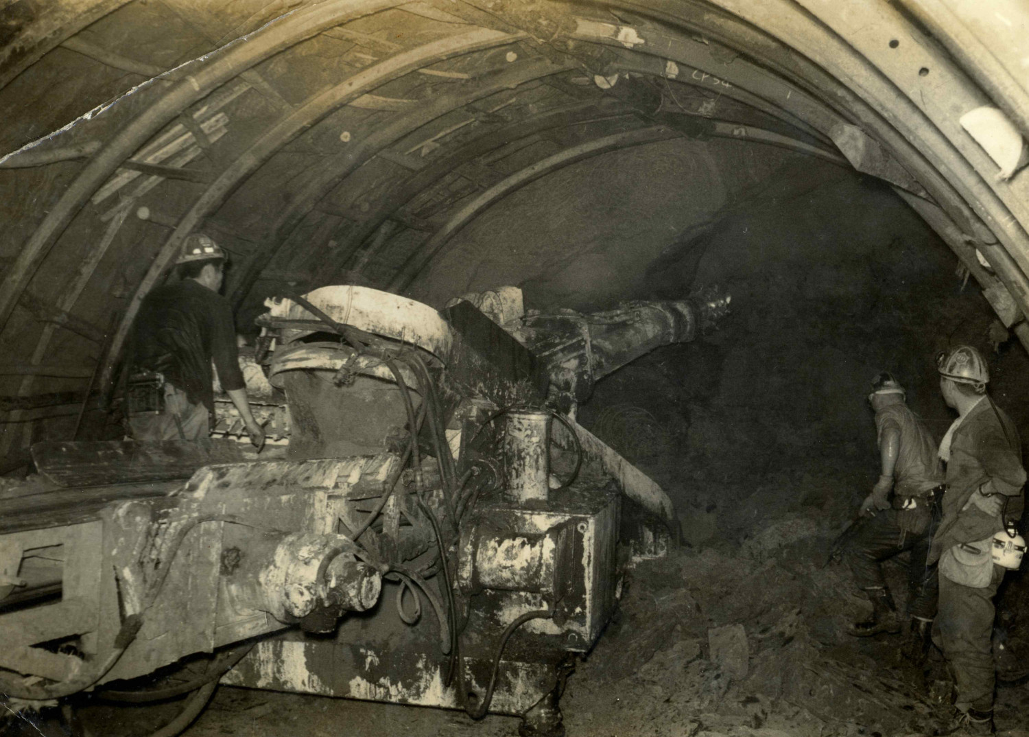 ダミーイメージ