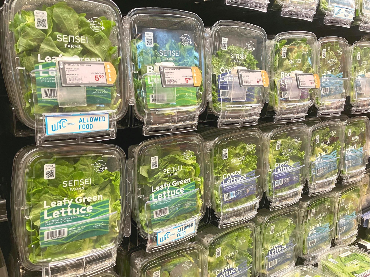 ダミーイメージ