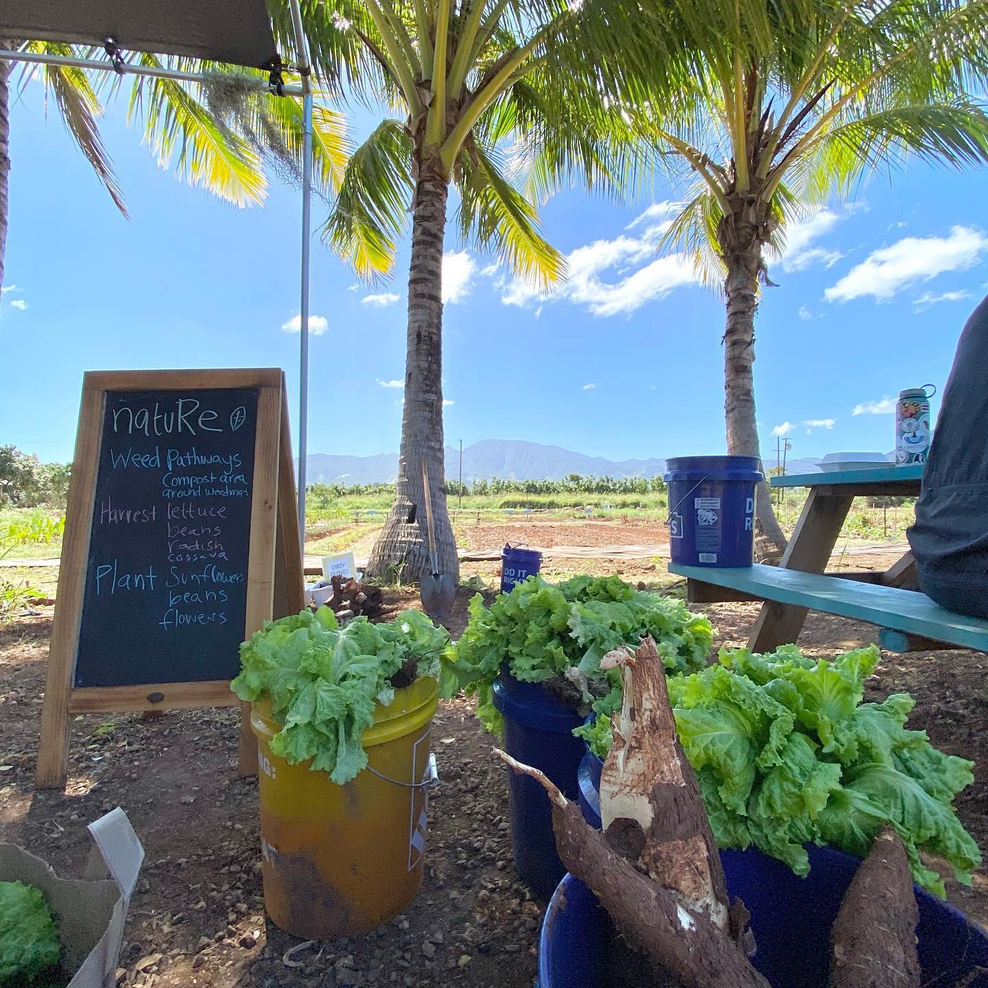 ダミーイメージ