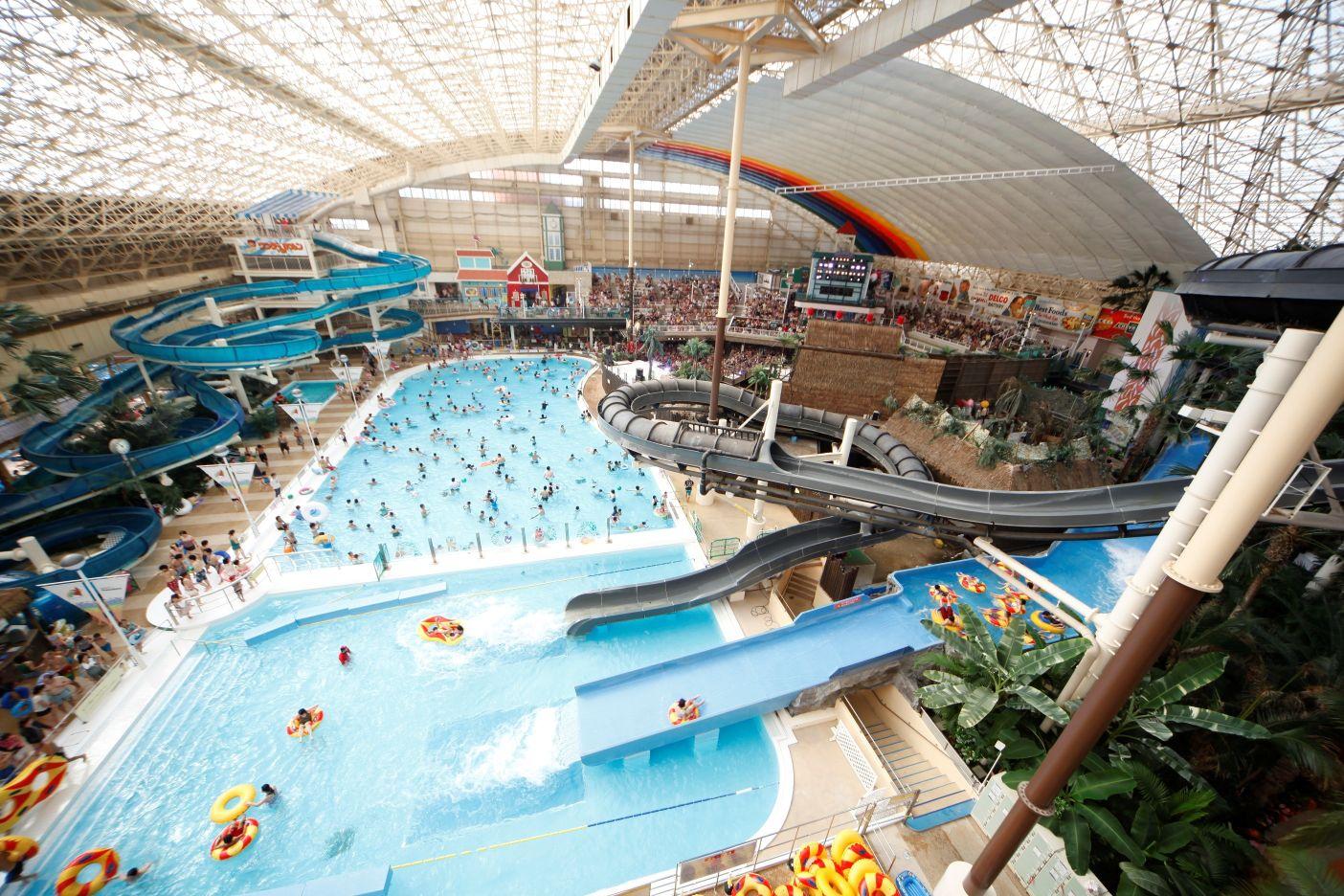 ダミーイメージ