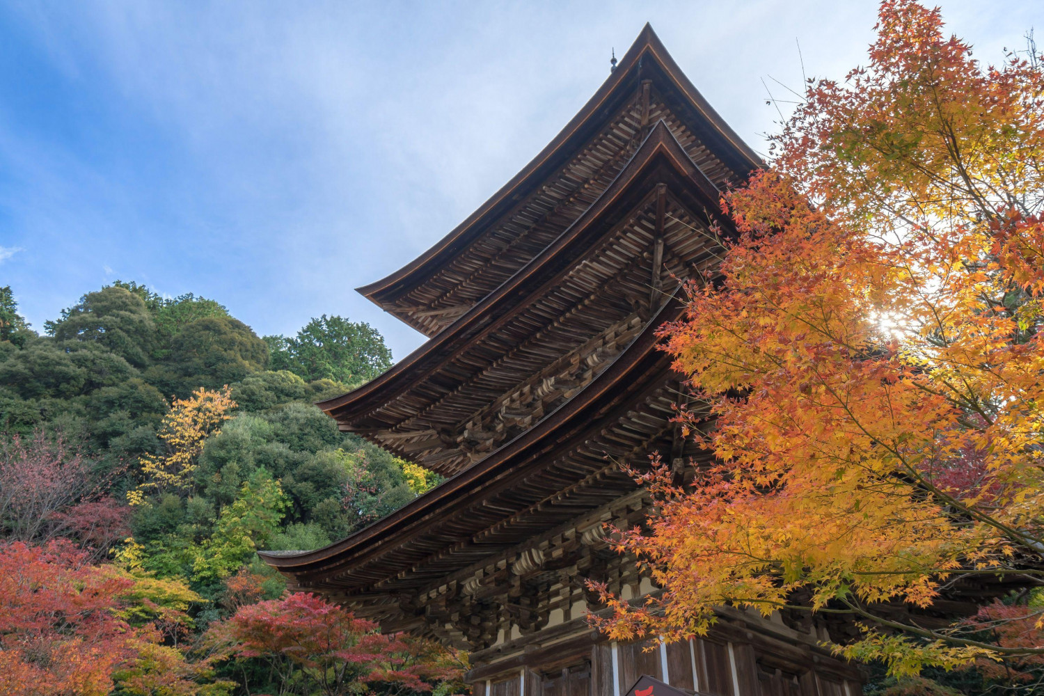 ダミーイメージ