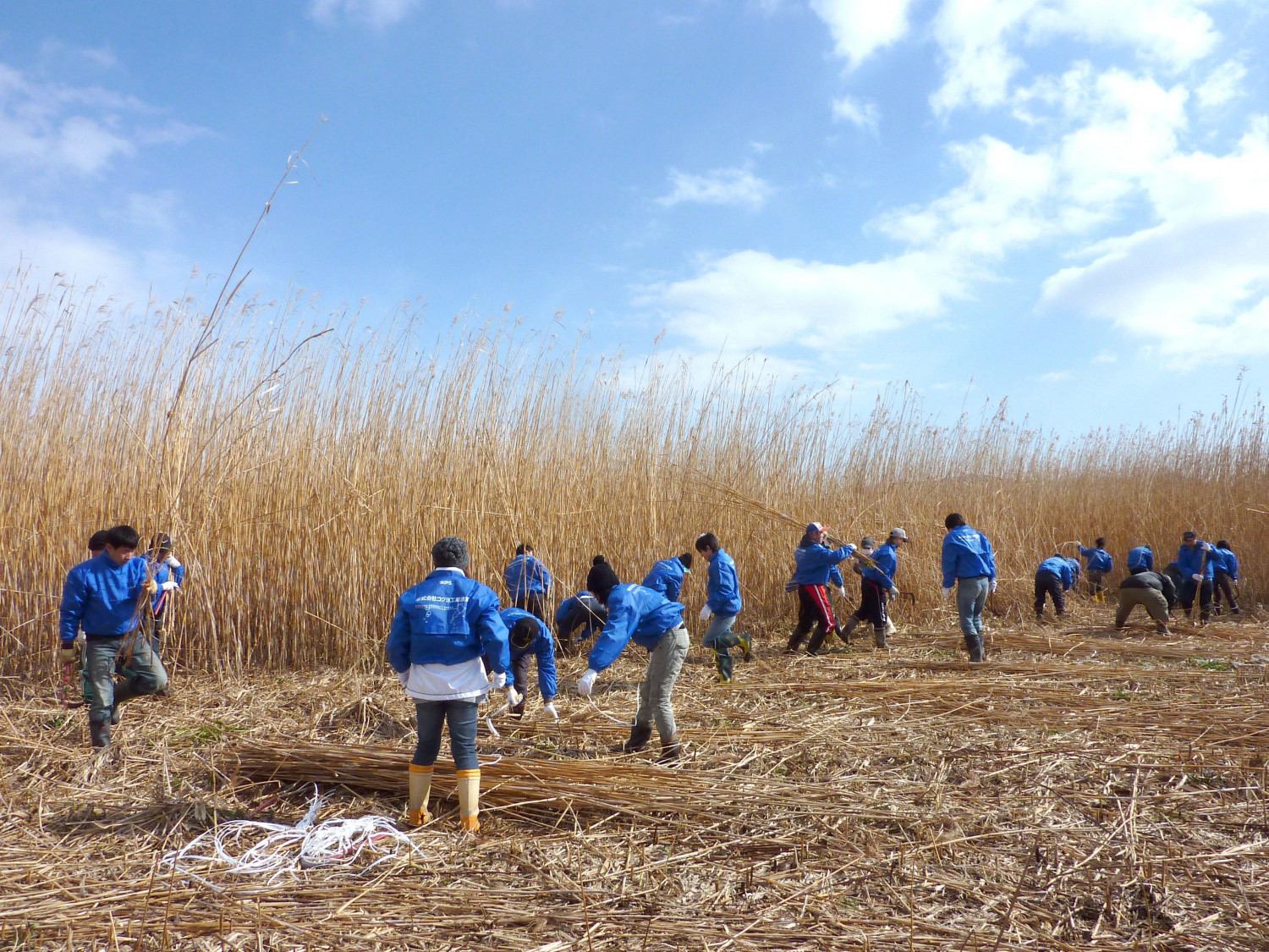 ダミーイメージ
