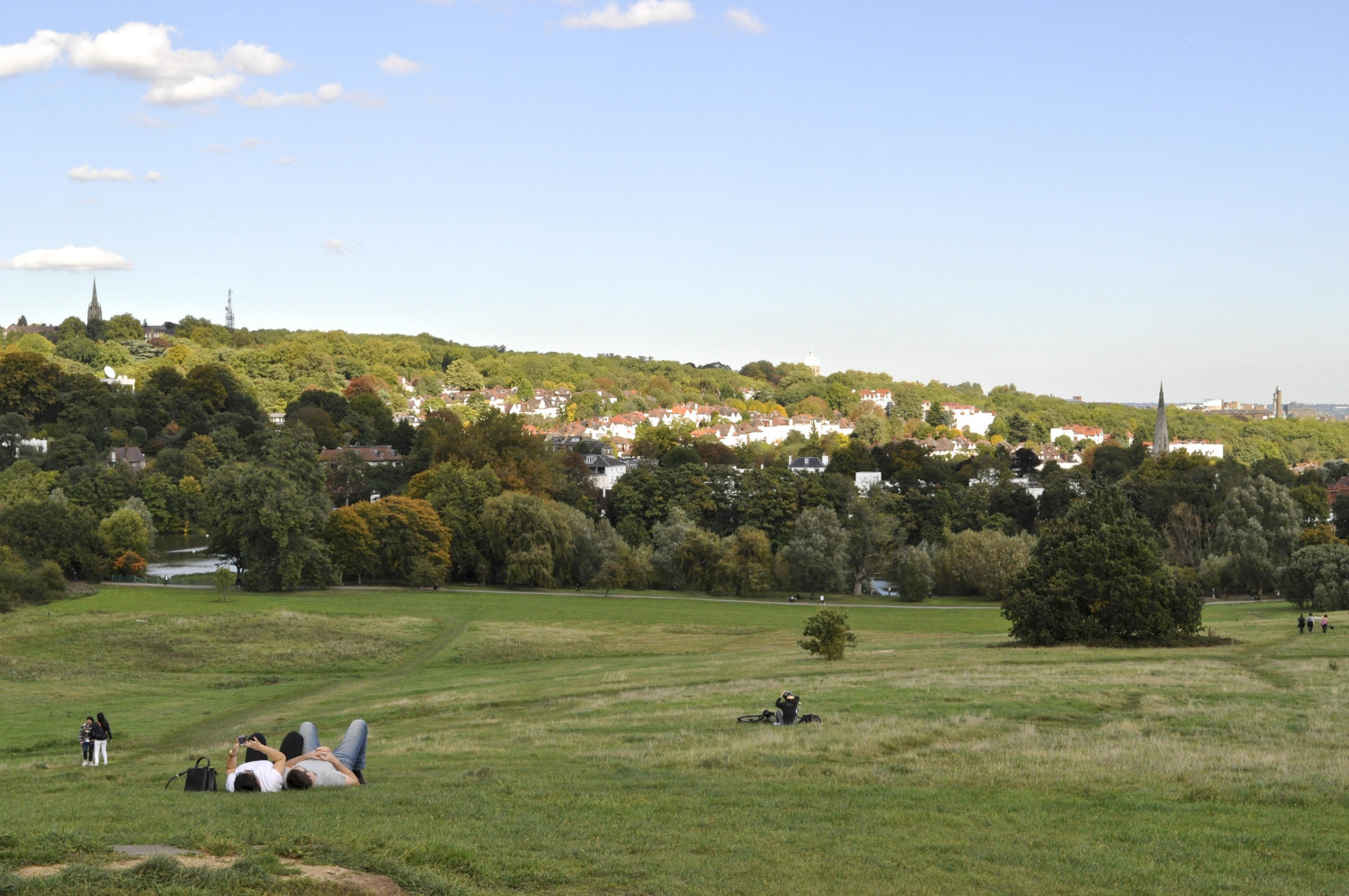 ダミーイメージ