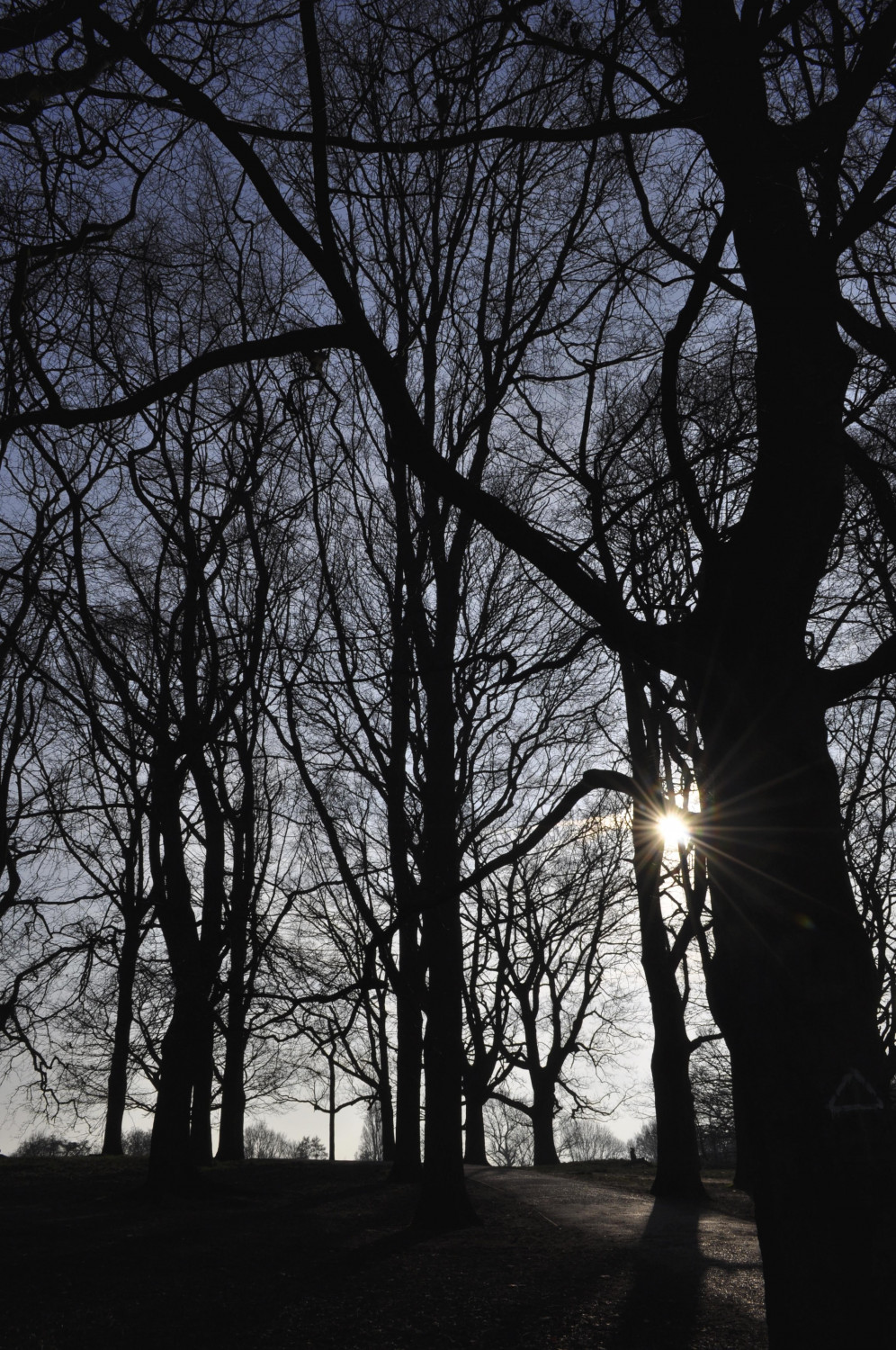 ダミーイメージ