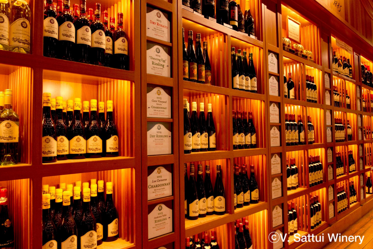 ダミーイメージ