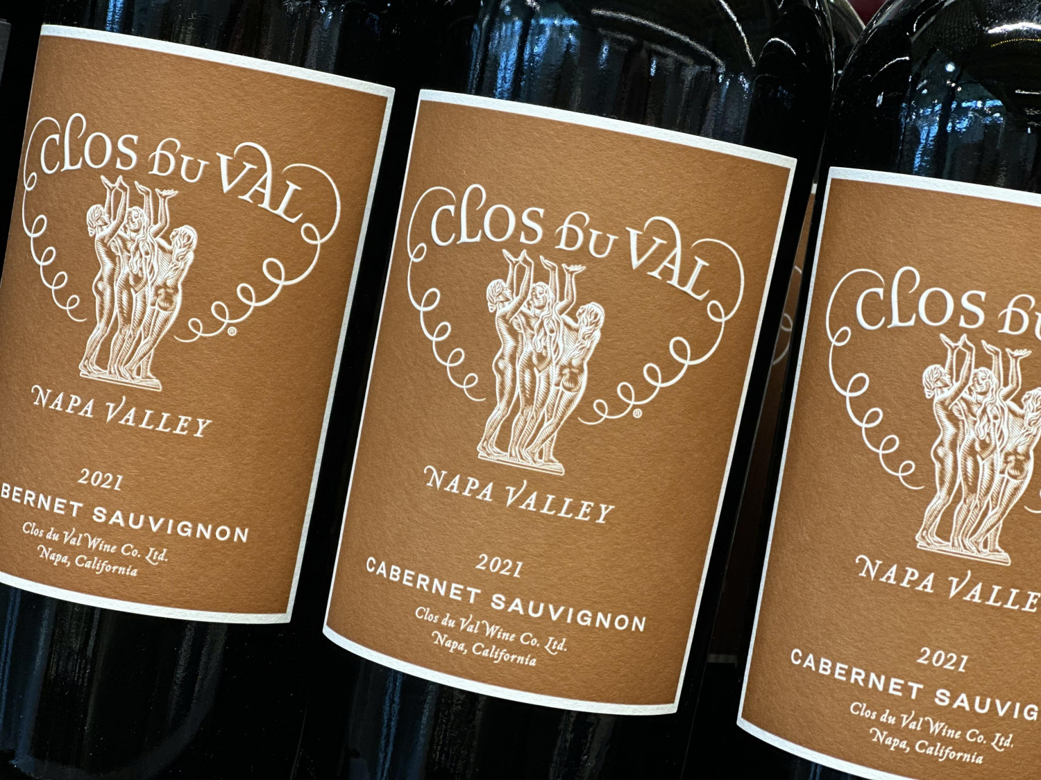 ダミーイメージ