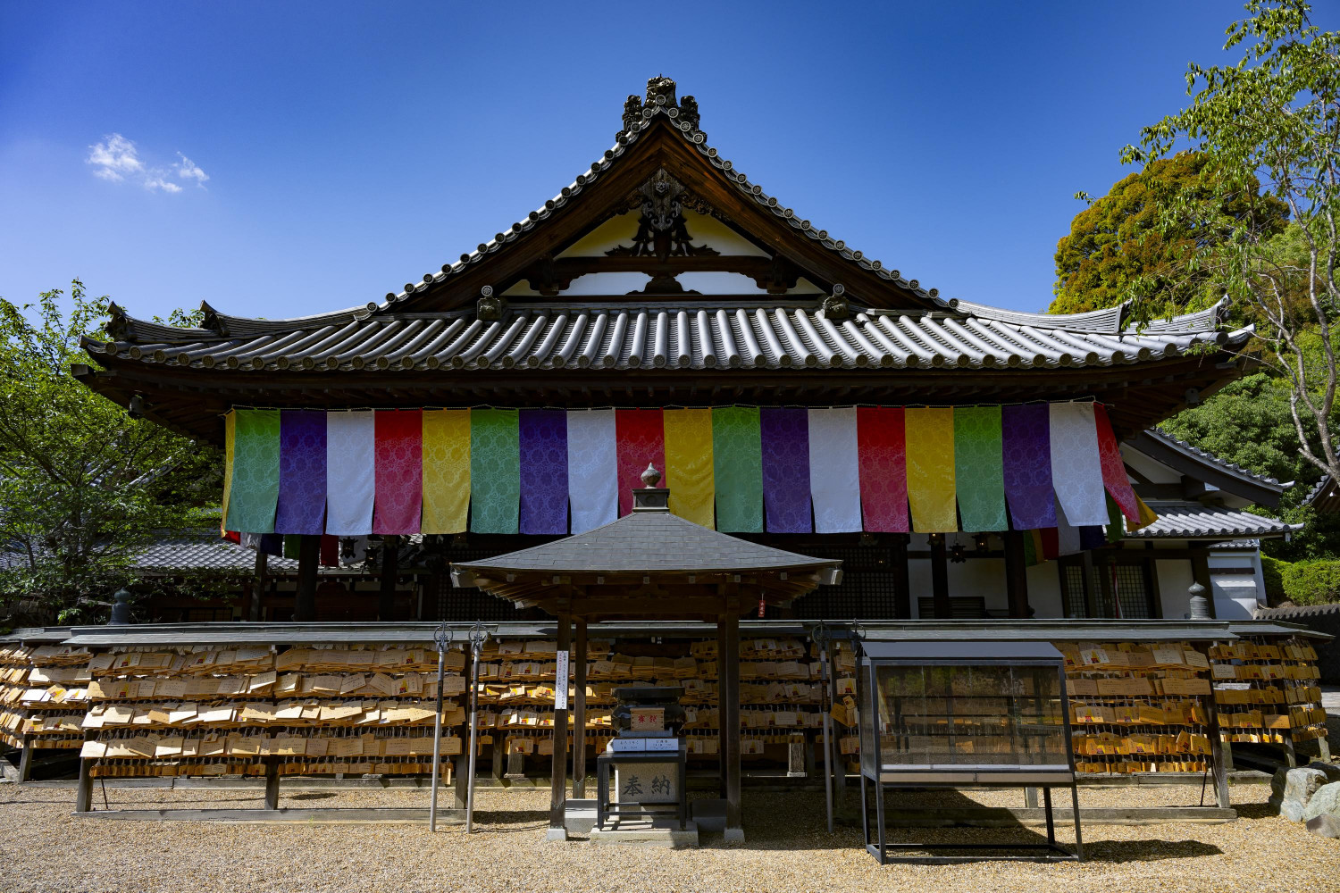 ダミーイメージ