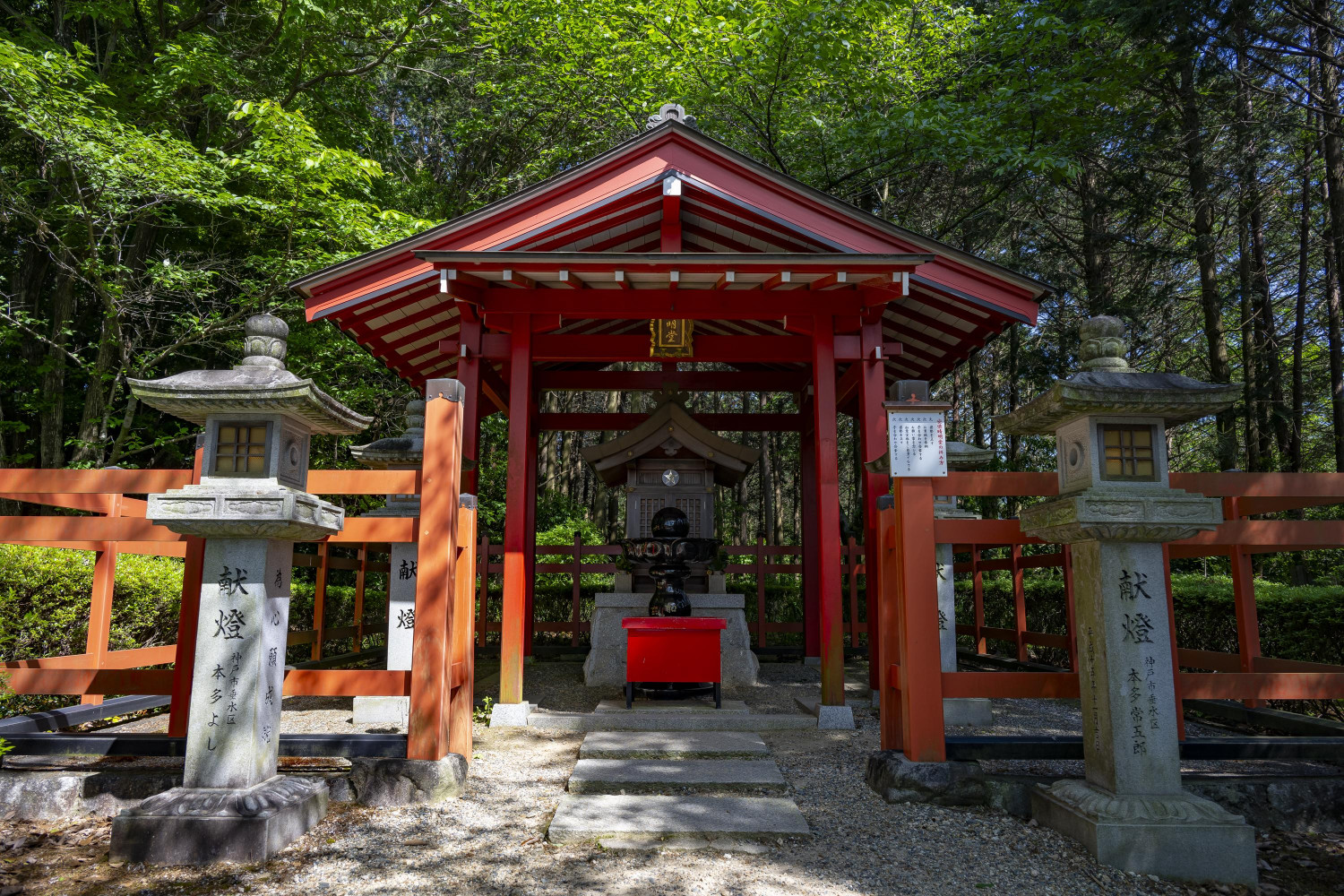 ダミーイメージ