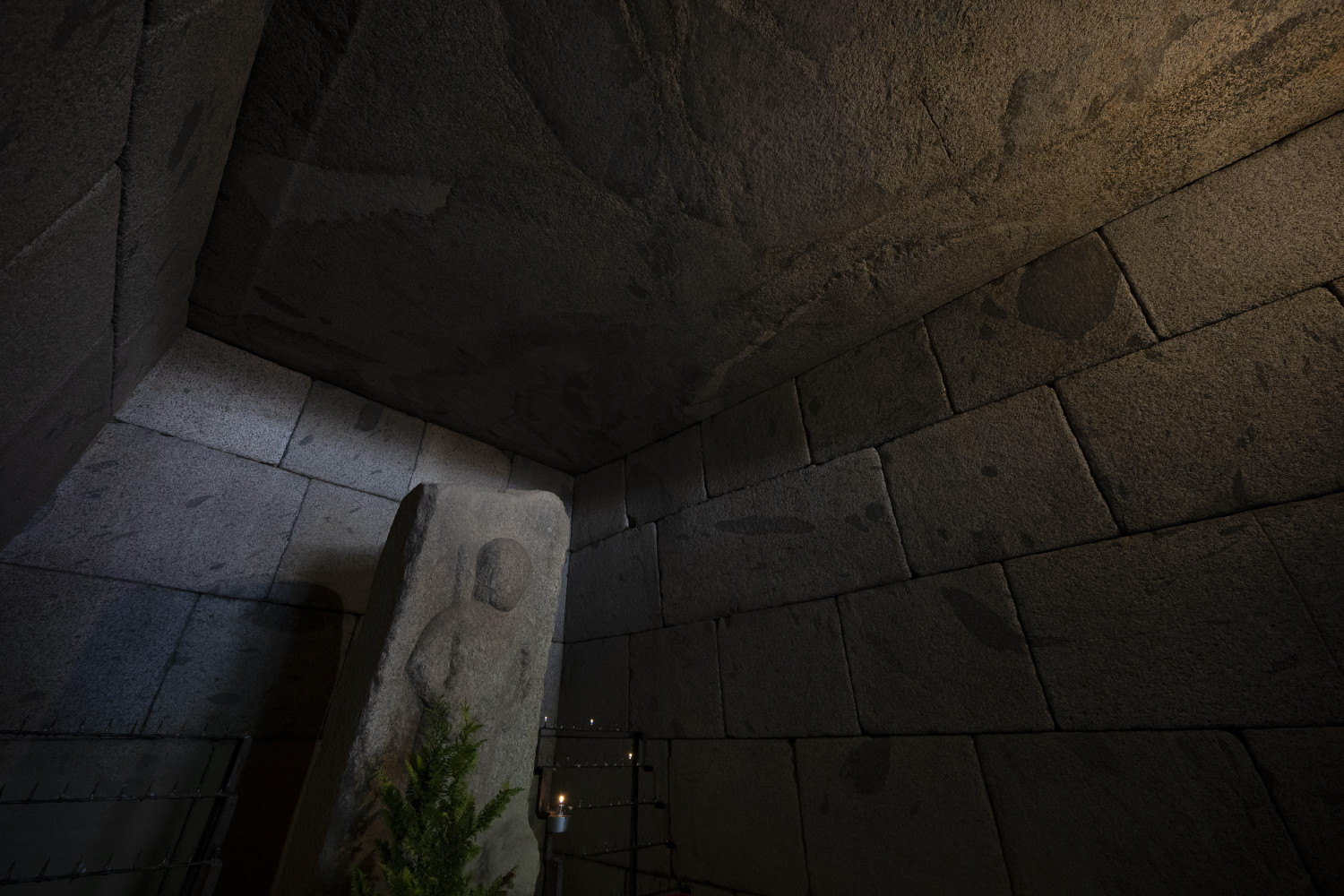 ダミーイメージ