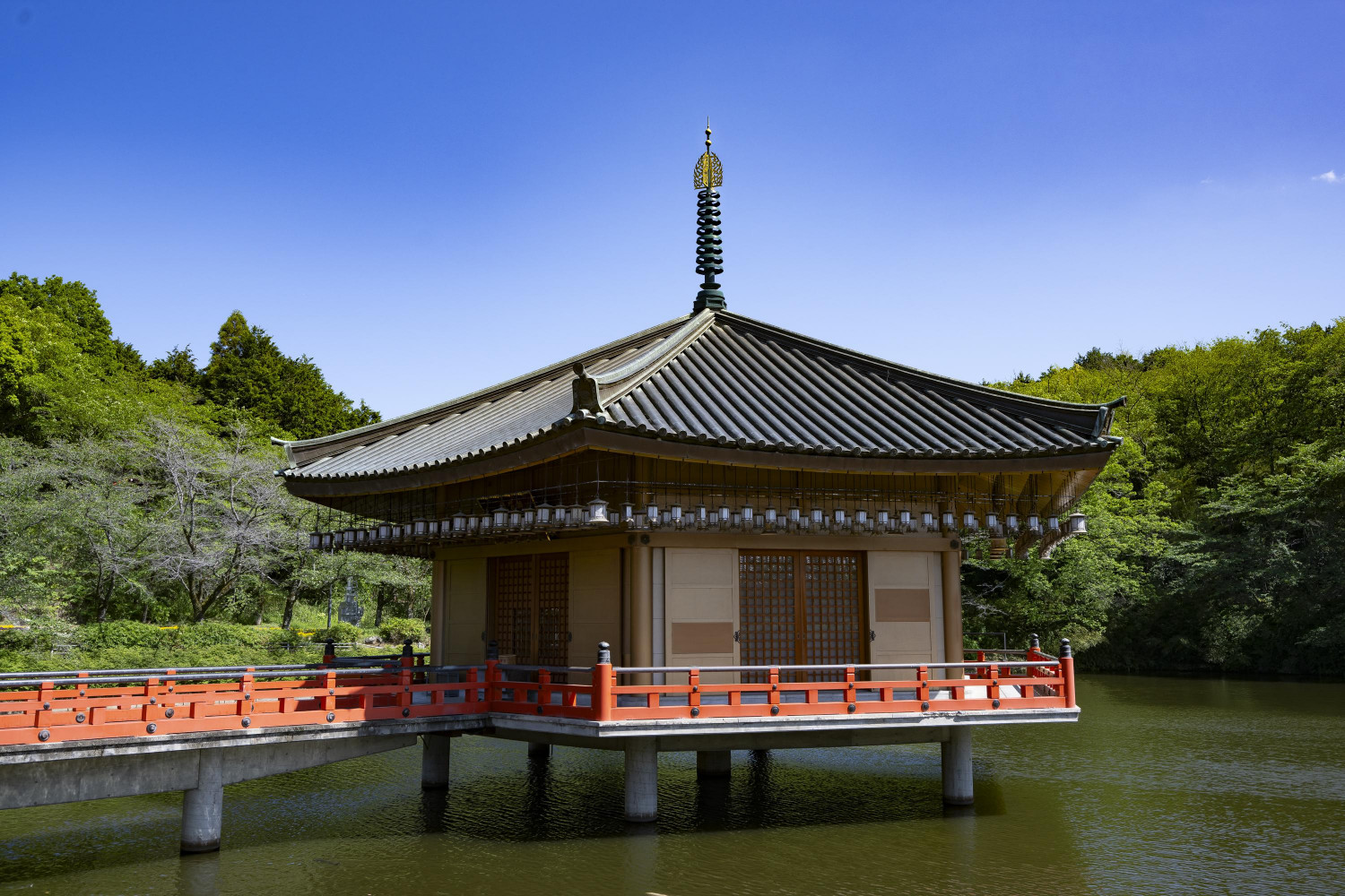 ダミーイメージ