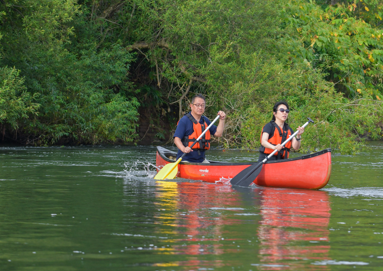 ダミーイメージ