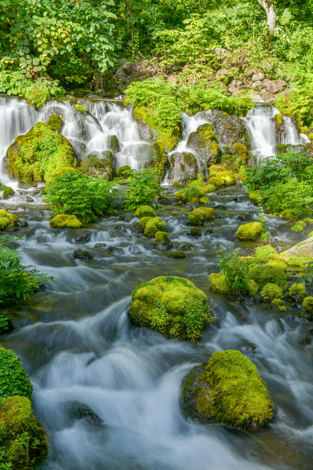 ダミーイメージ