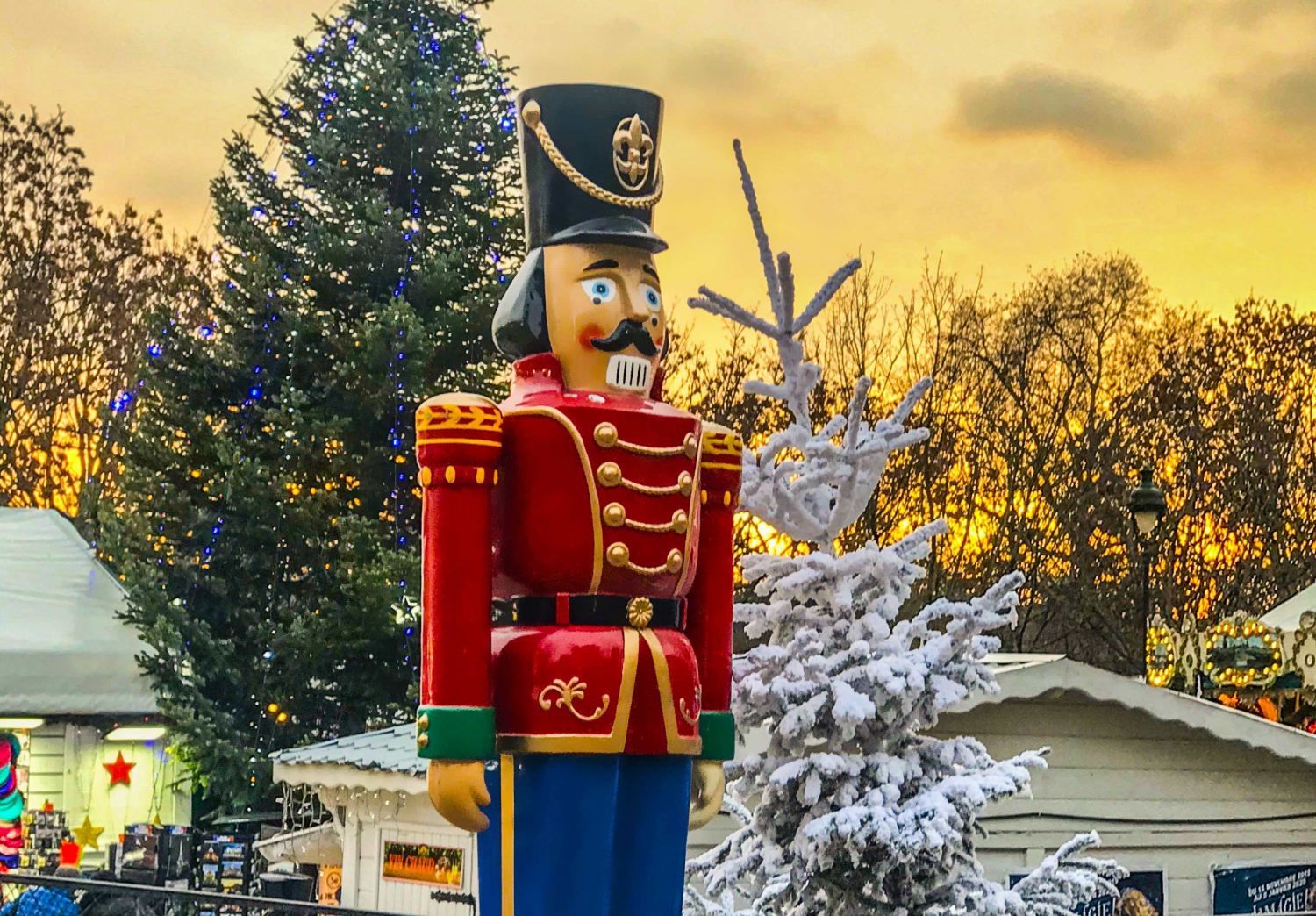 ダミーイメージ