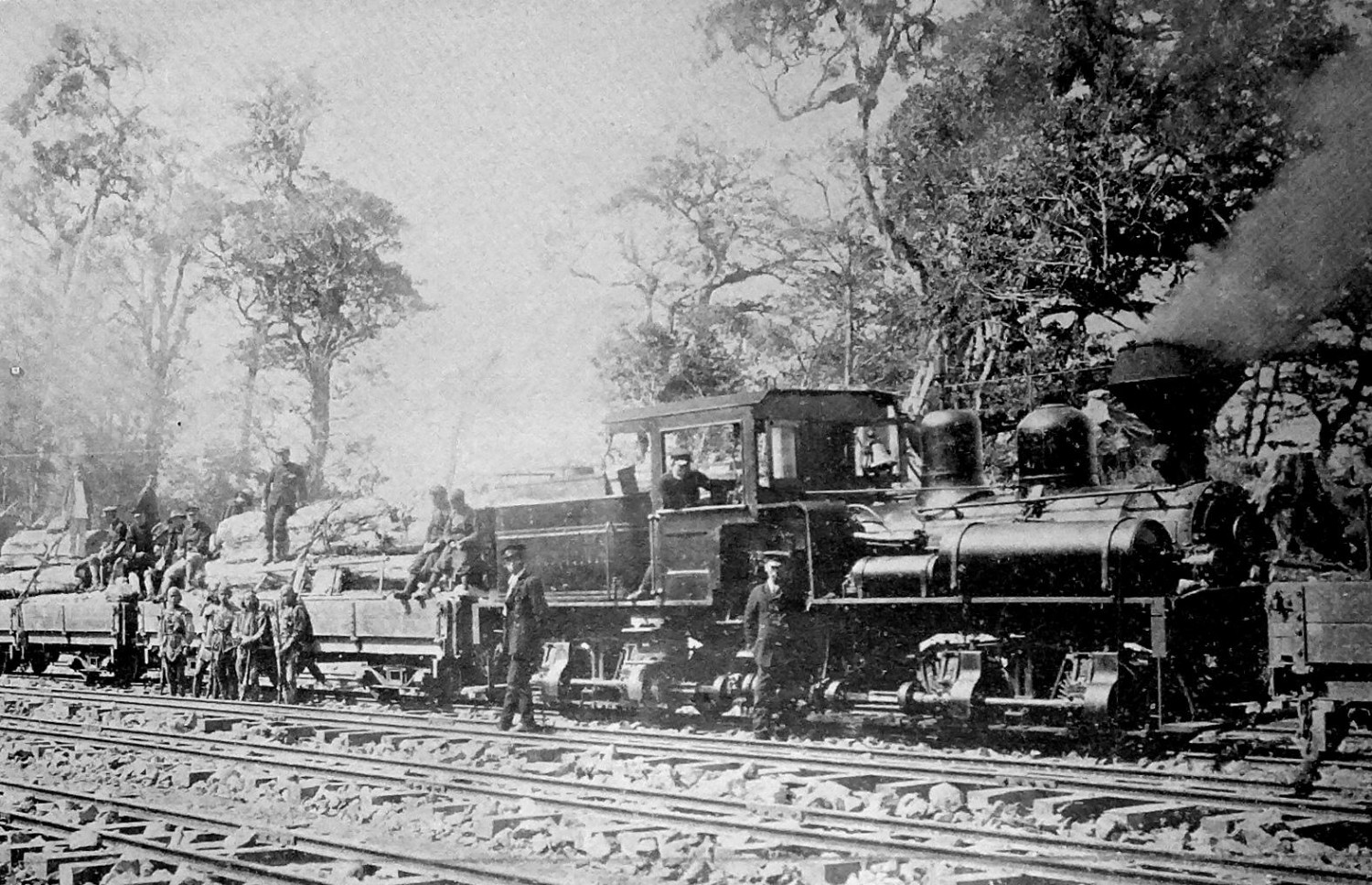 ダミーイメージ