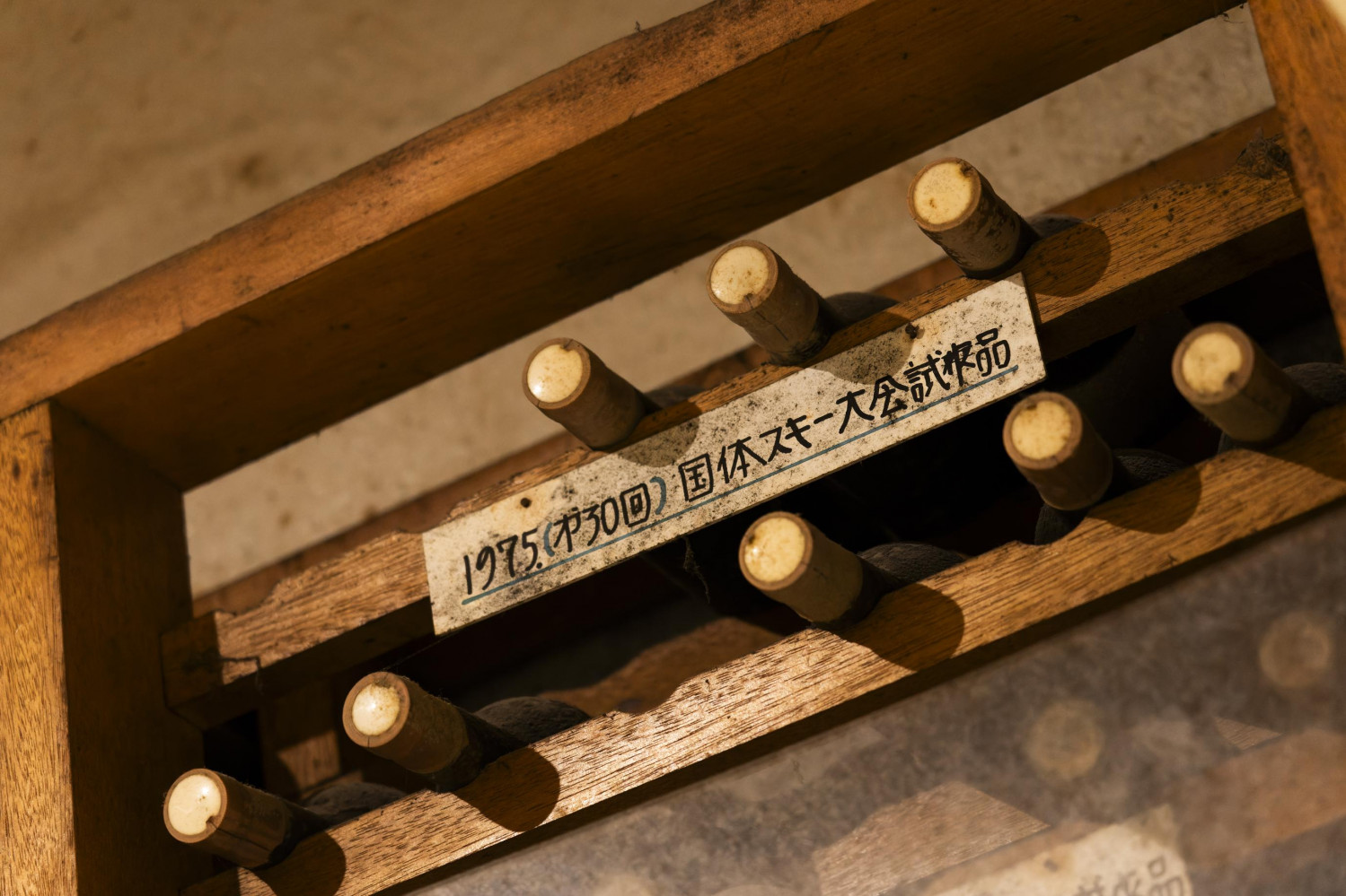 ダミーイメージ