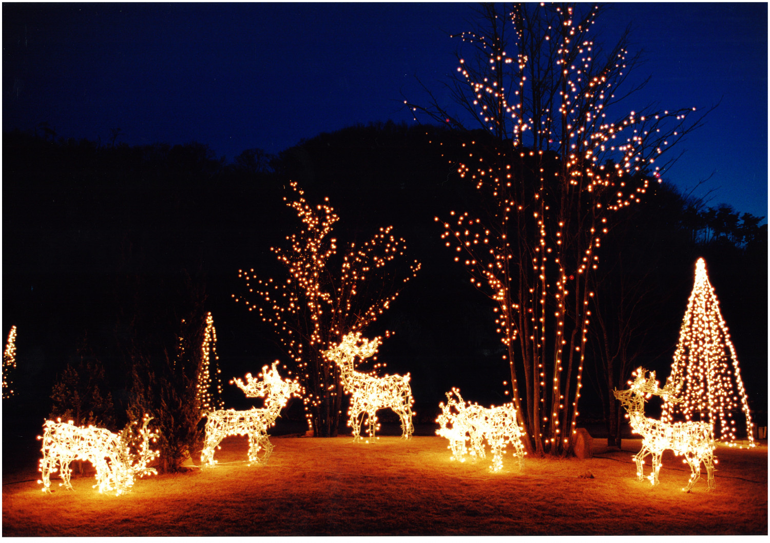 ダミーイメージ