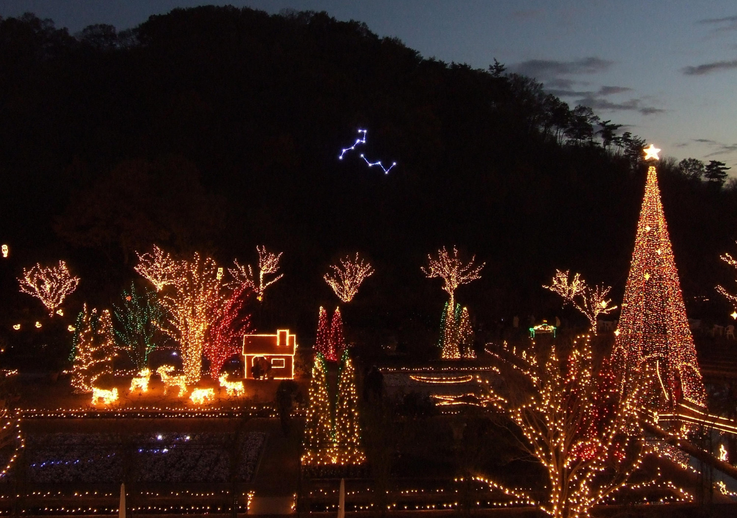 ダミーイメージ