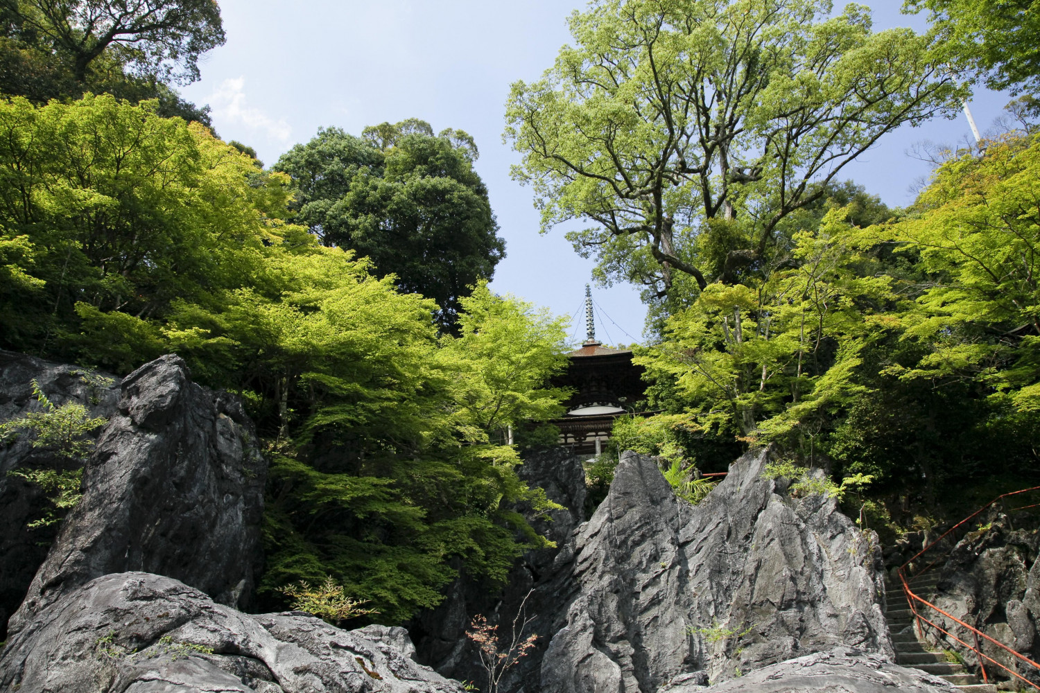 ダミーイメージ