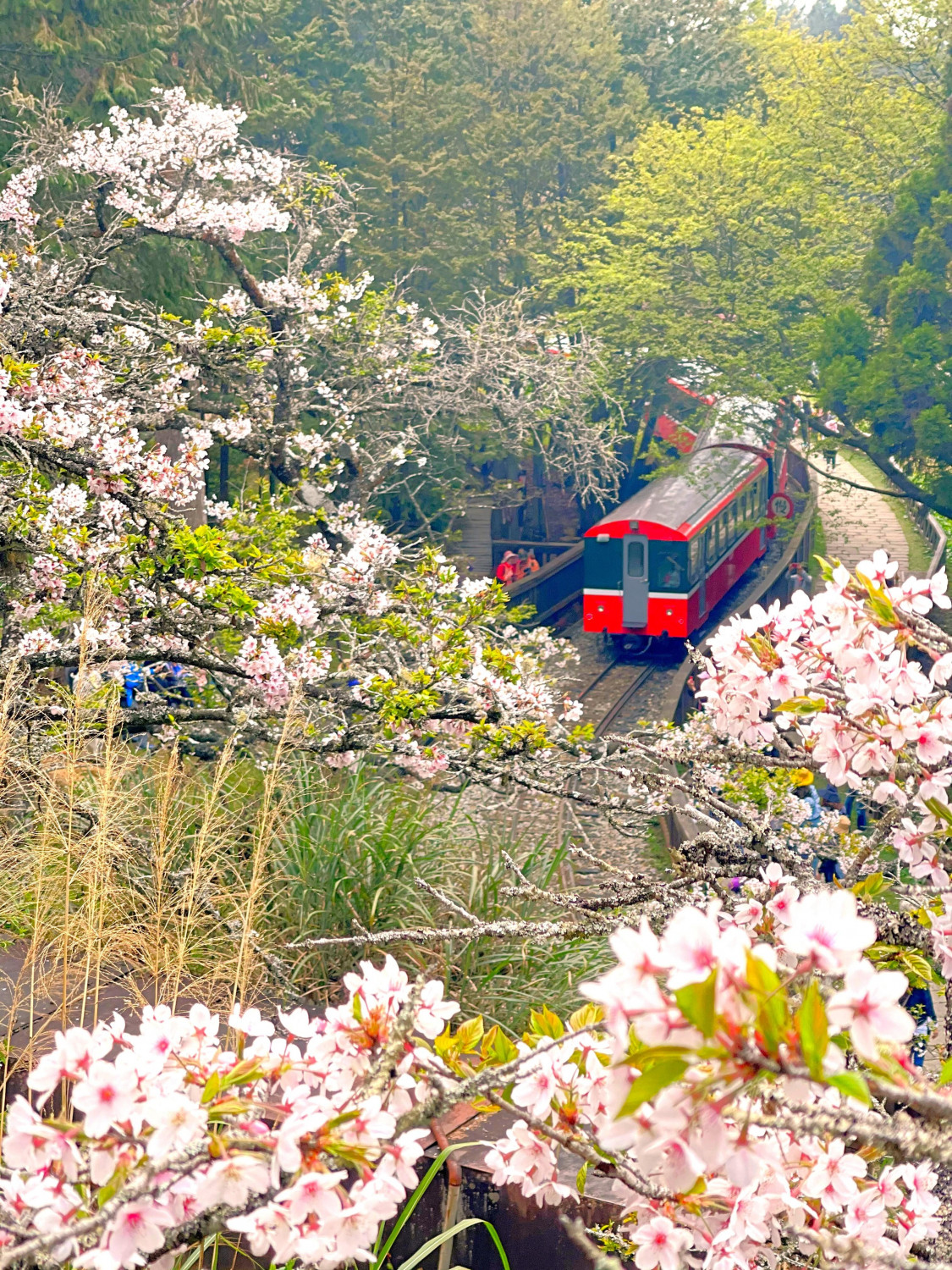 ダミーイメージ