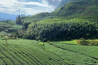 ダミーイメージ