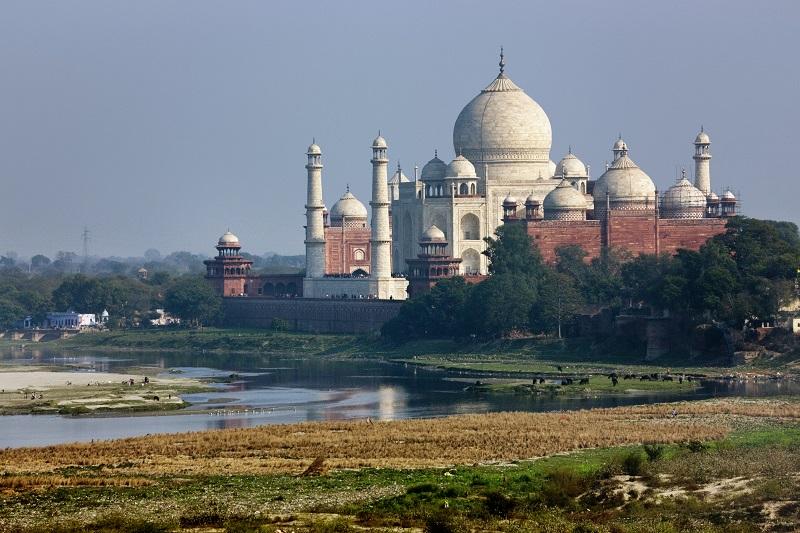 ダミーイメージ