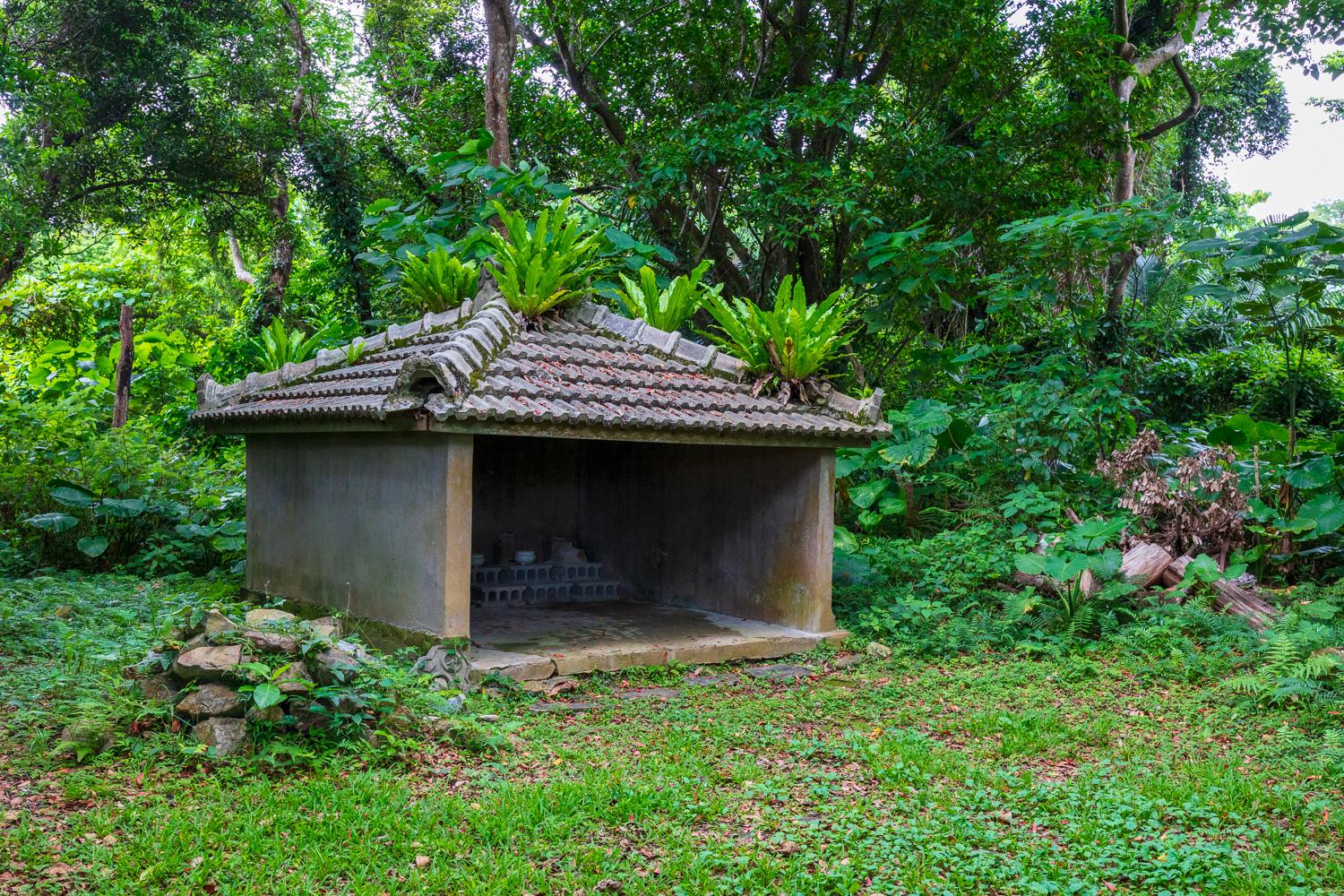 ダミーイメージ