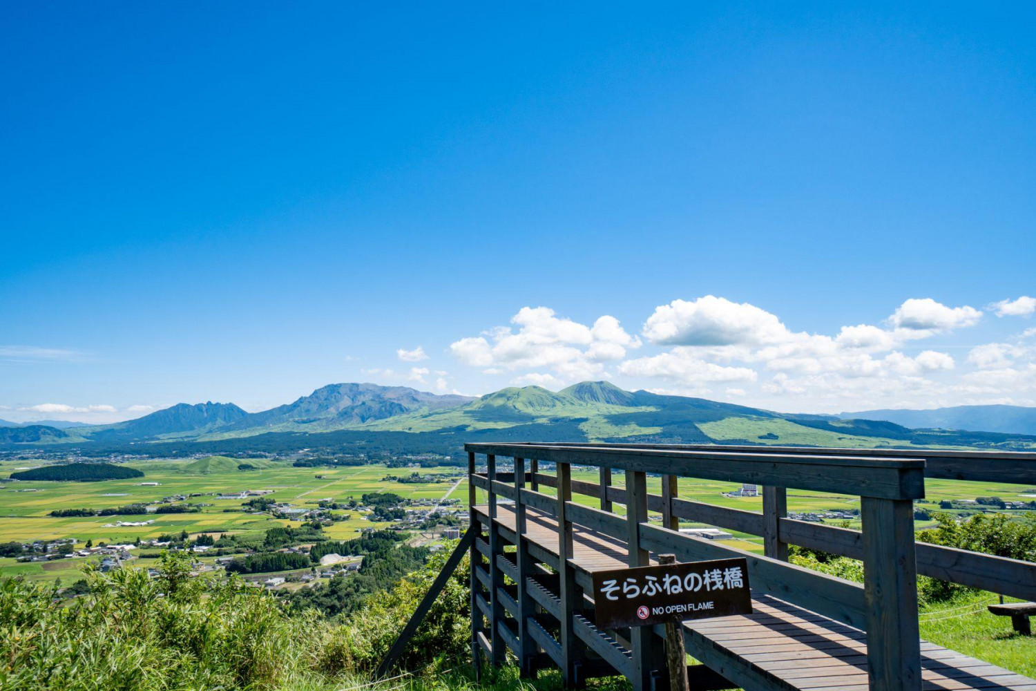 ダミーイメージ