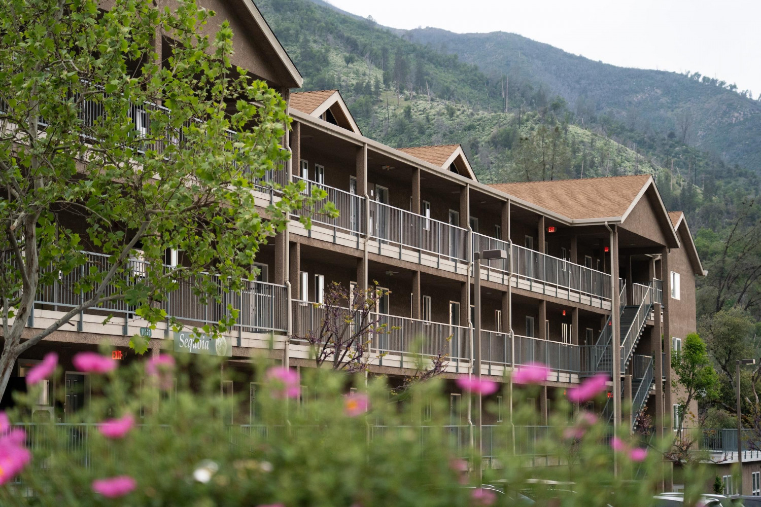 ダミーイメージ