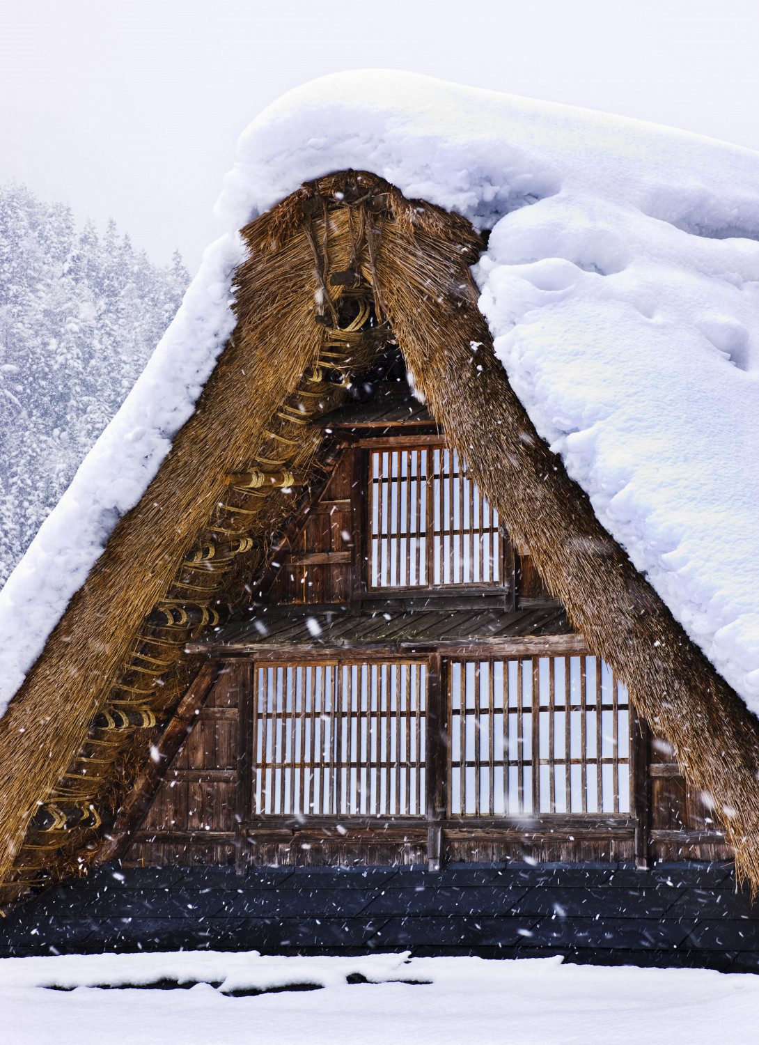 ダミーイメージ