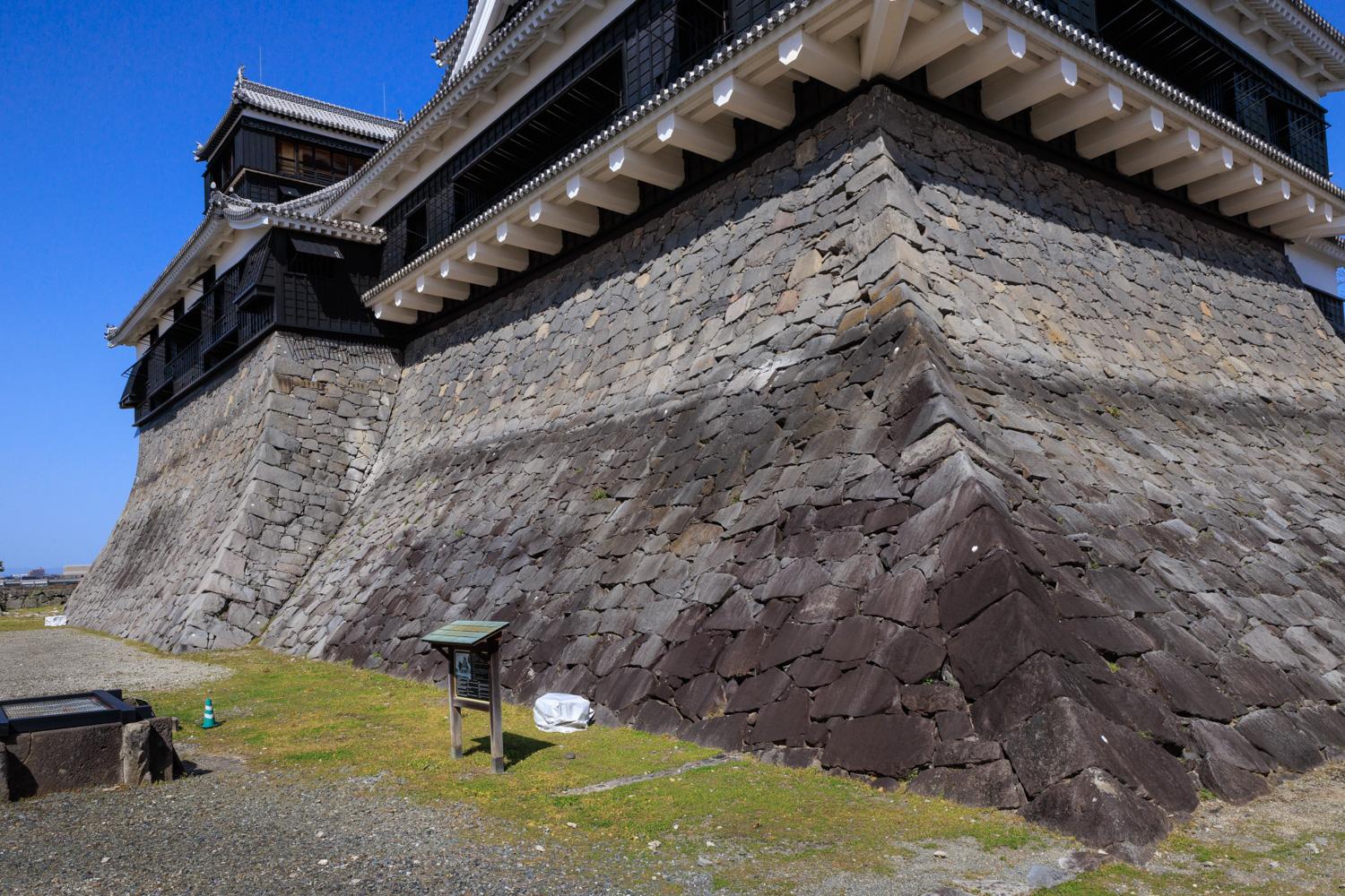 ダミーイメージ