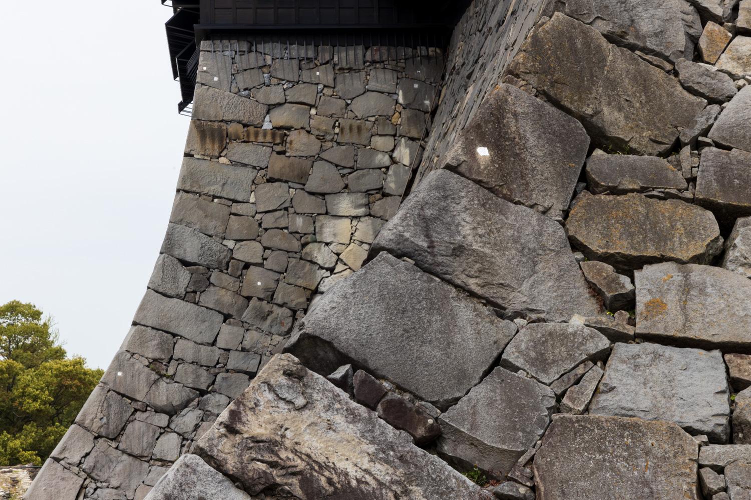 ダミーイメージ