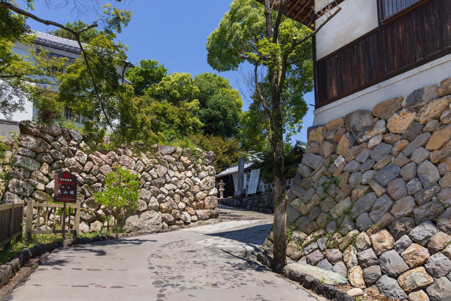 ダミーイメージ