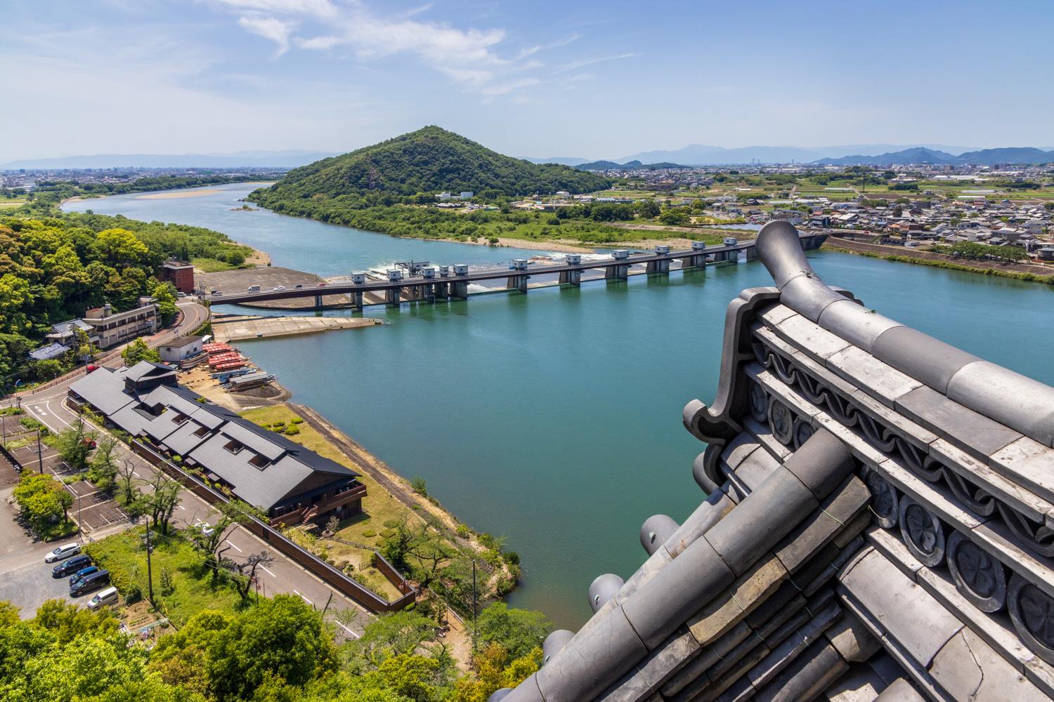 ダミーイメージ