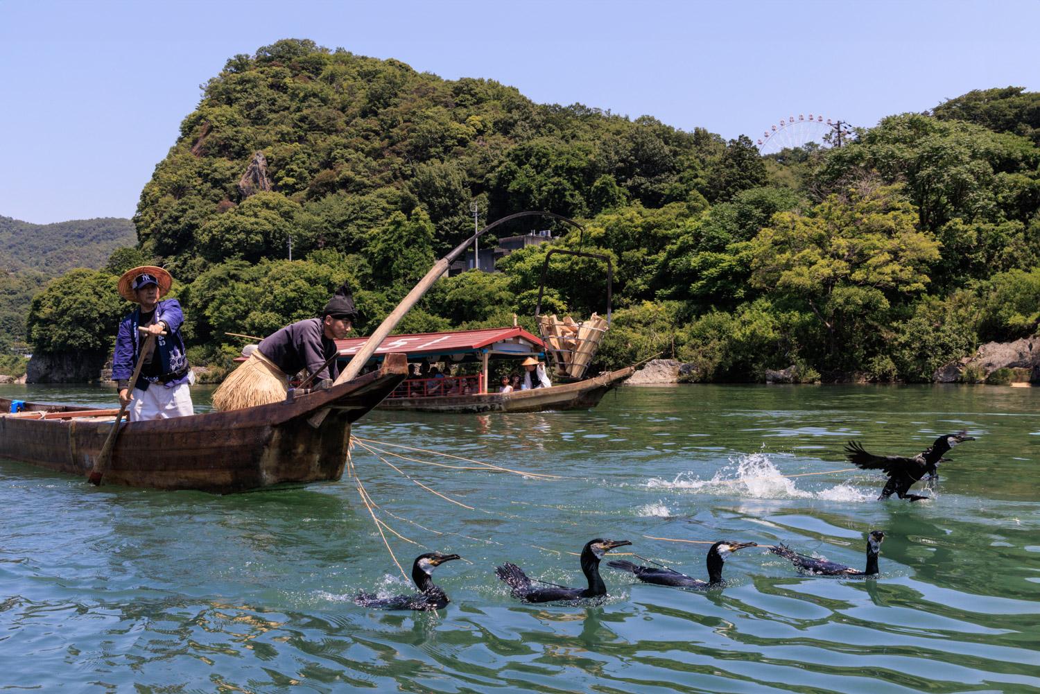 ダミーイメージ