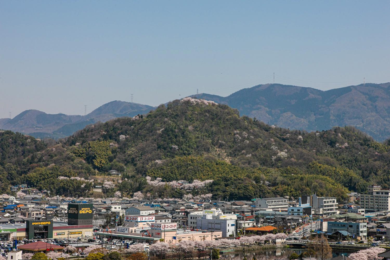 ダミーイメージ