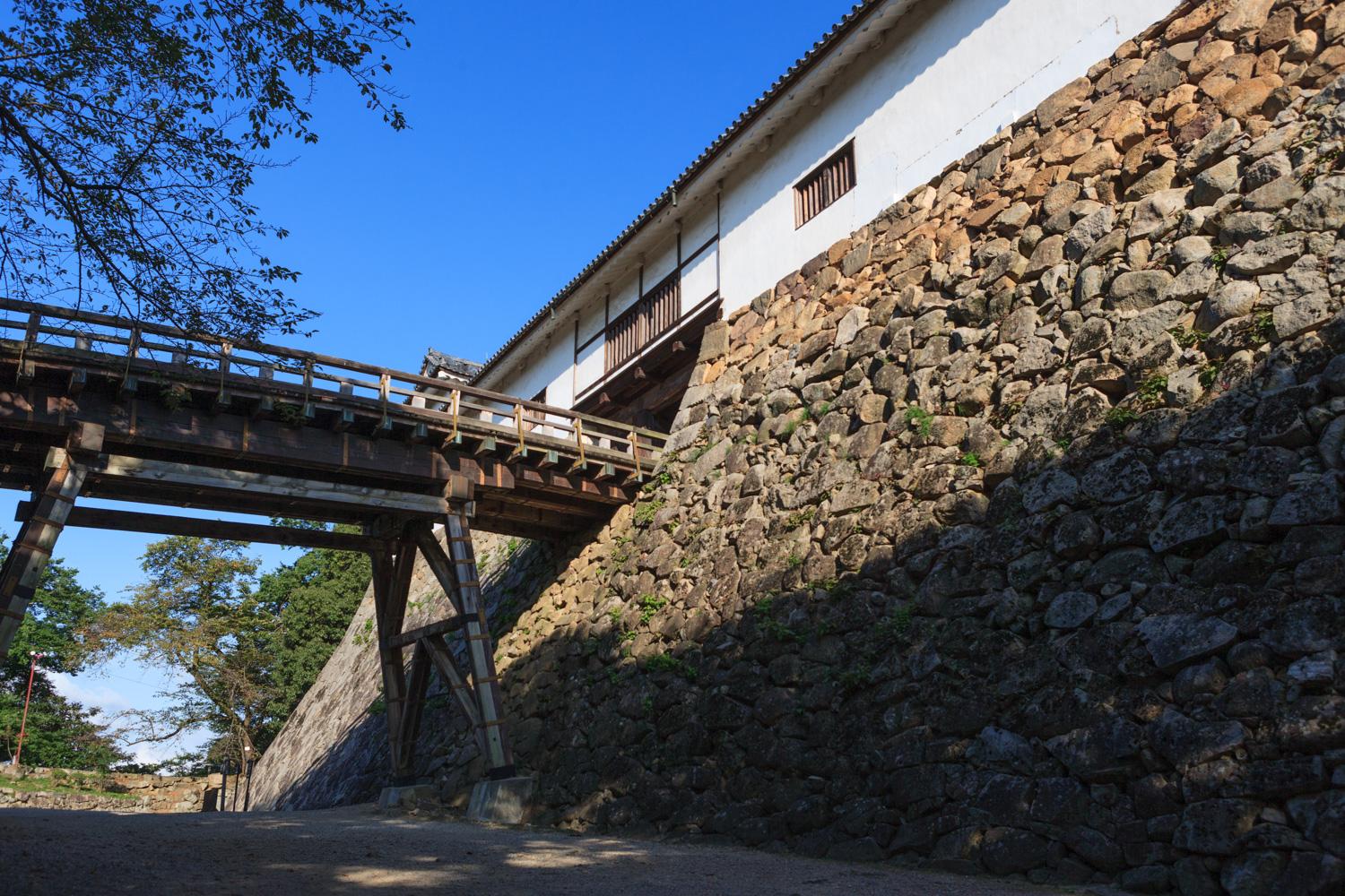 ダミーイメージ