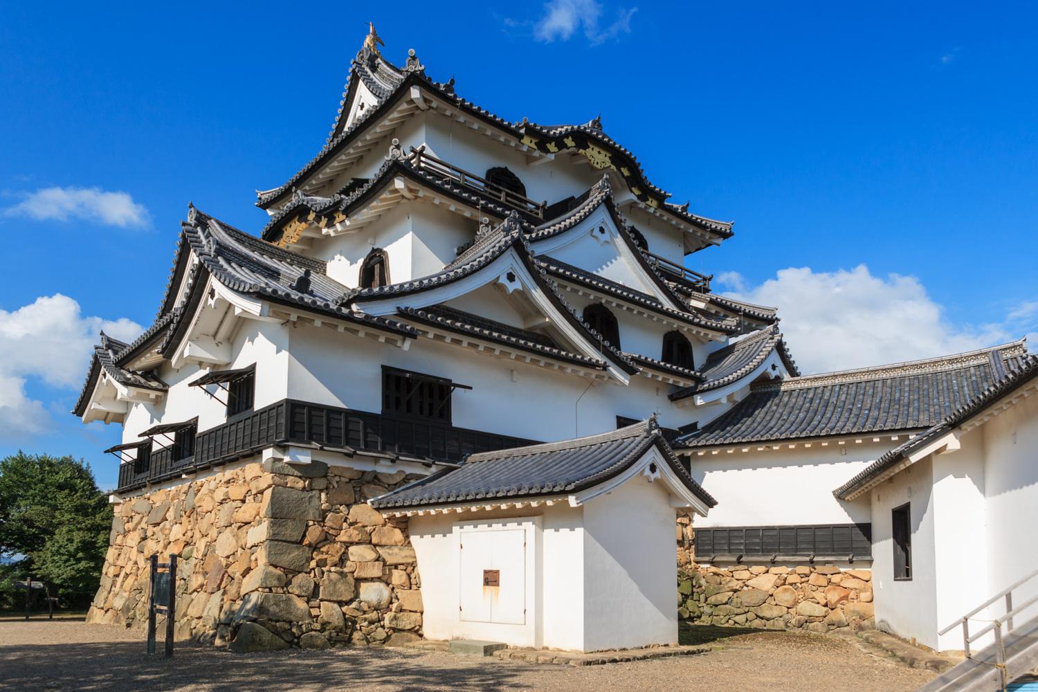 ダミーイメージ