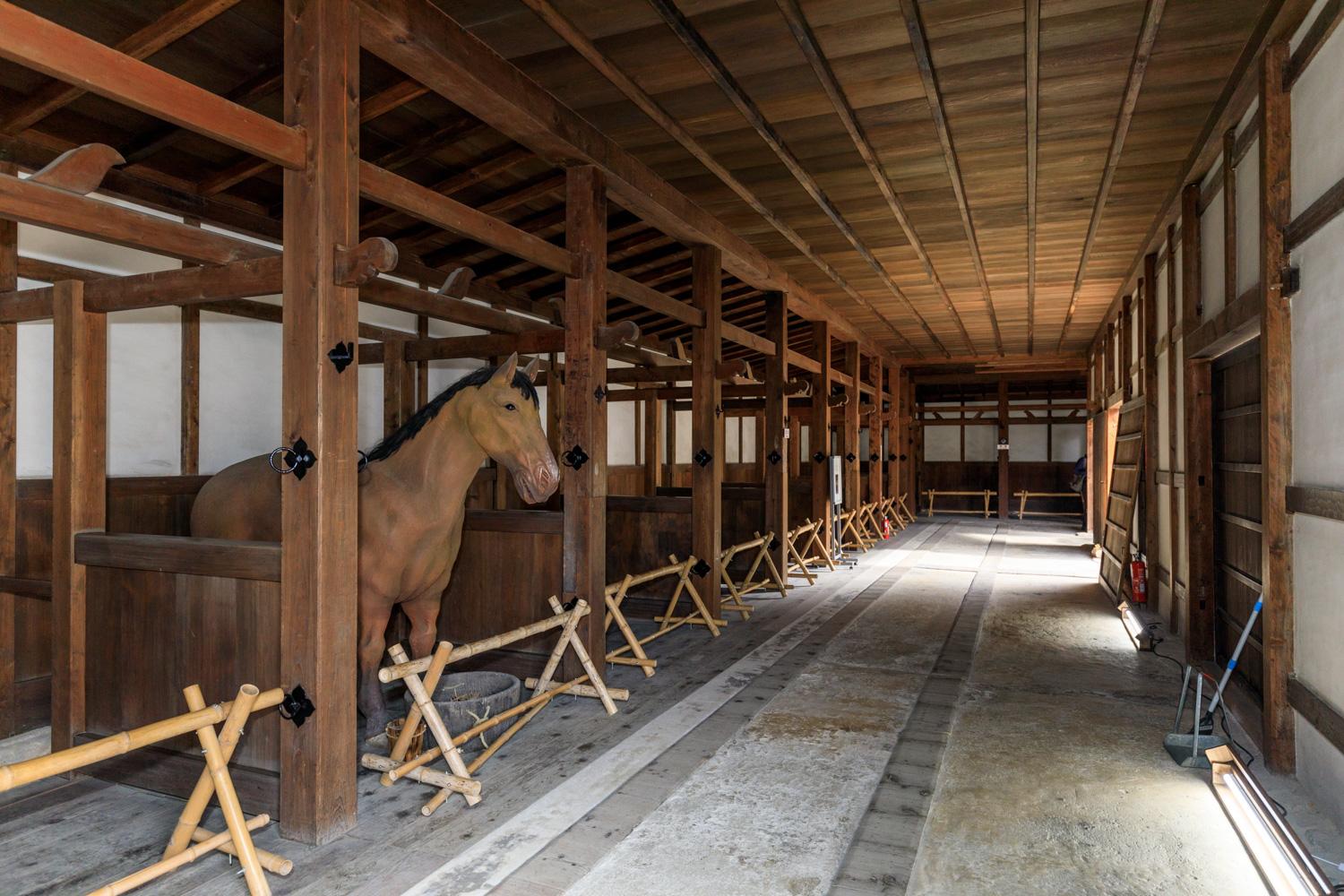 ダミーイメージ