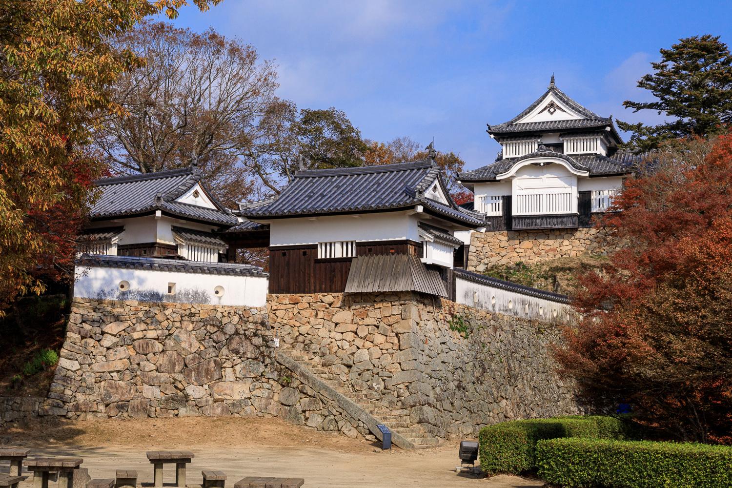 ダミーイメージ