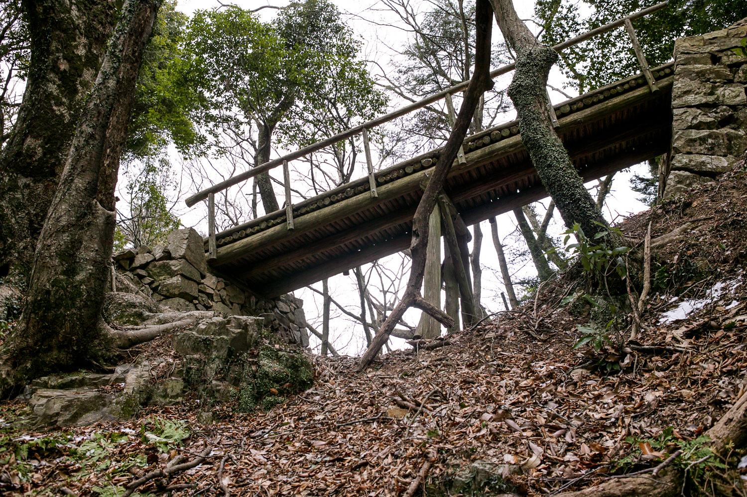 ダミーイメージ