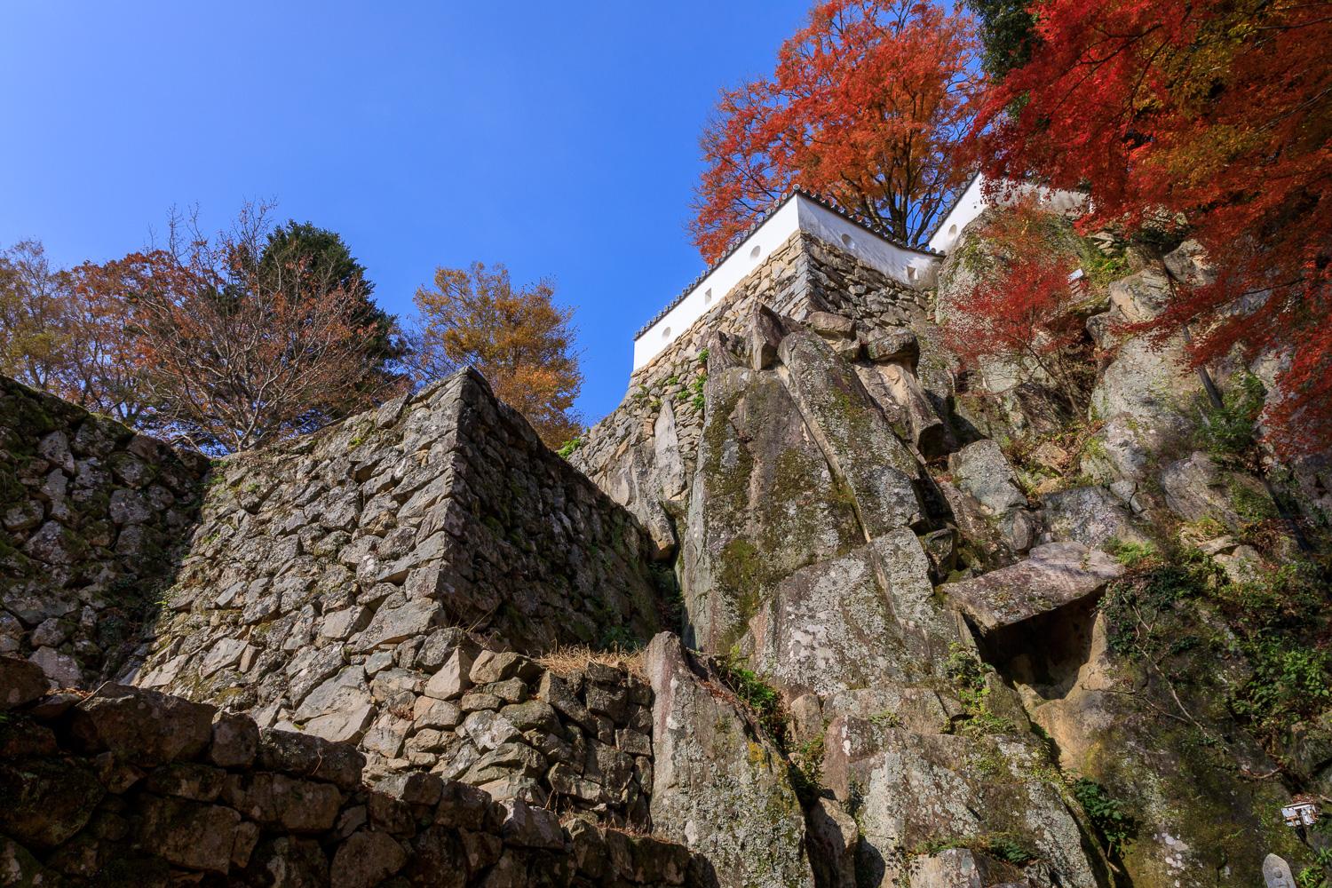 ダミーイメージ